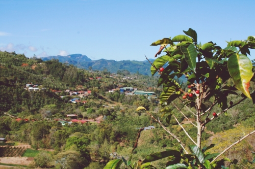 El Llano de La Piedra