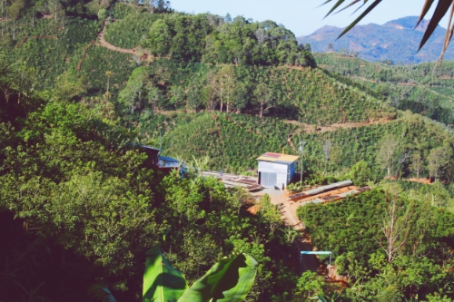 A micro on La Pastora