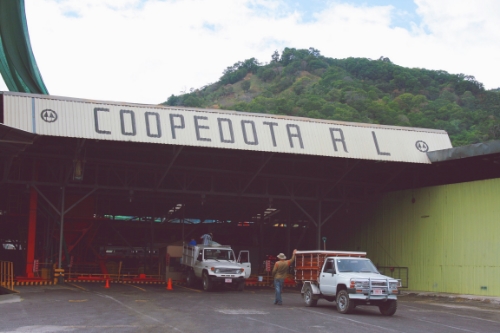 Coop de Dota drop off