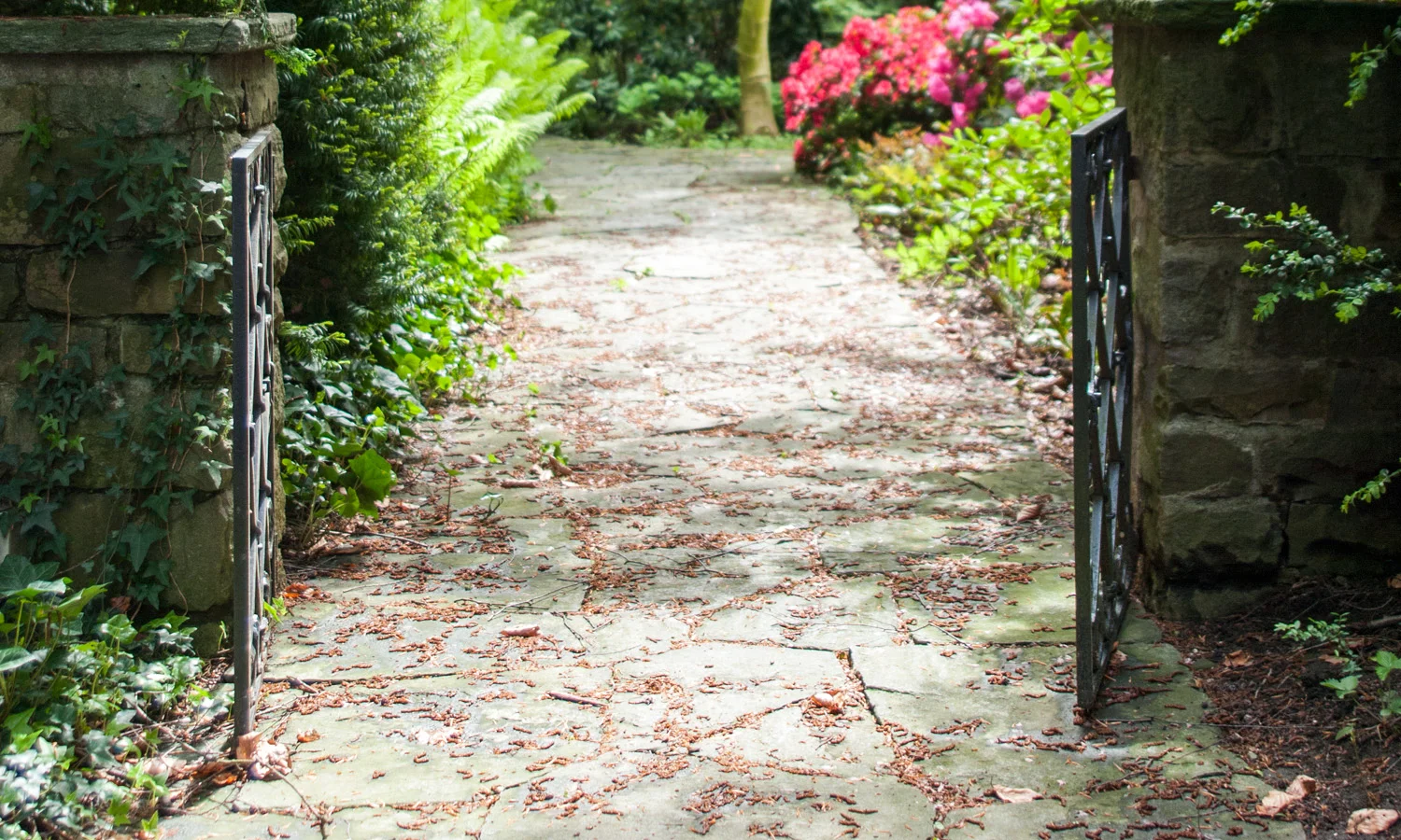  Garten zur Mitbenützung 