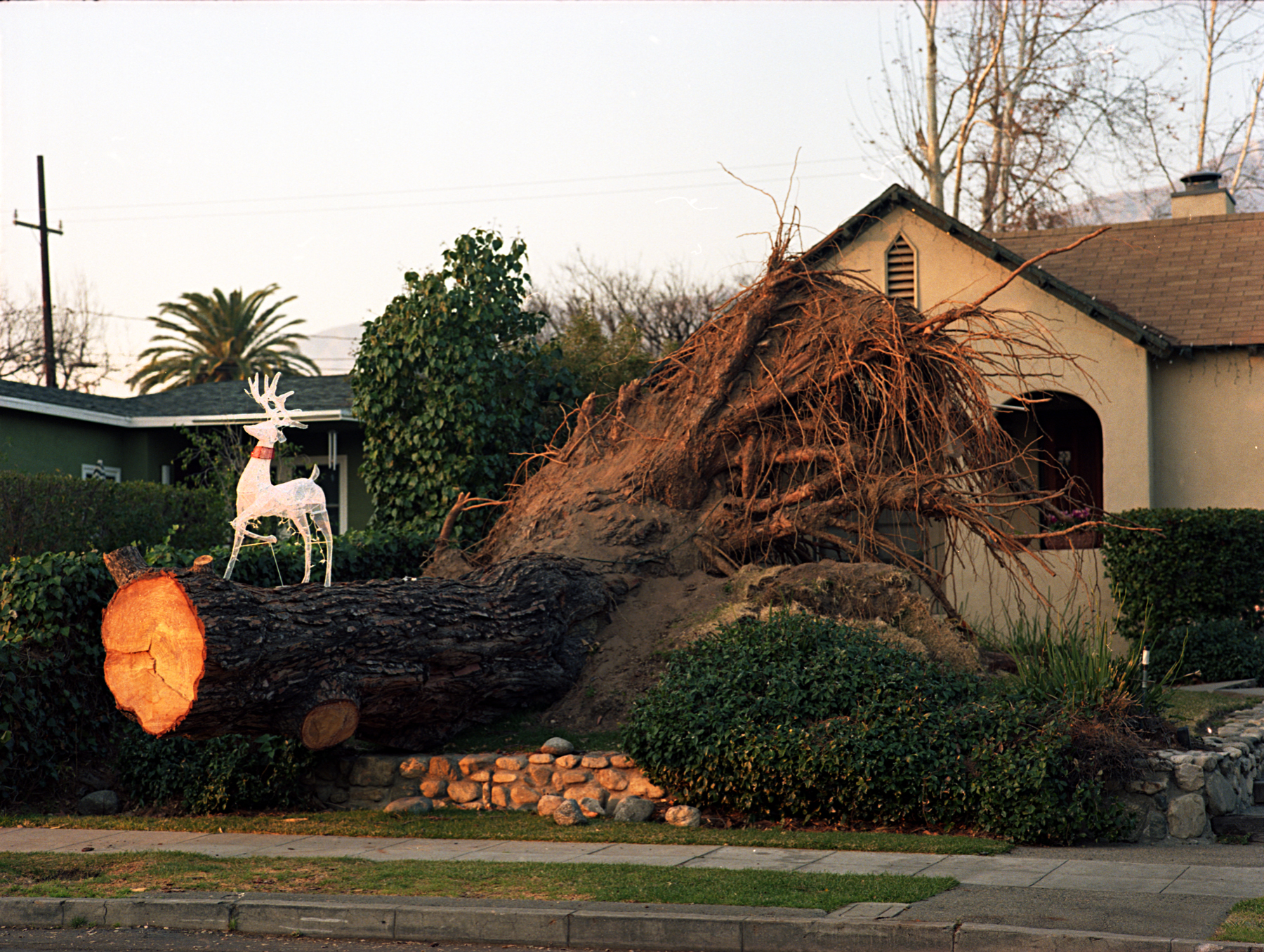 wind stormcopylow res for website.jpg