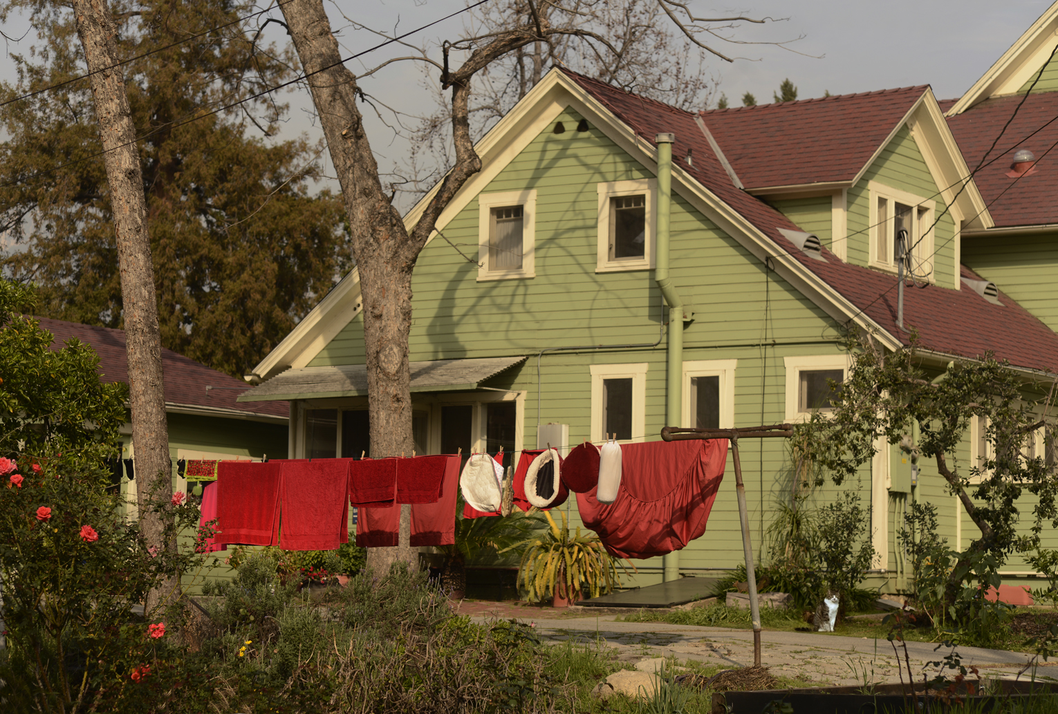 red laundry with cat low res for wesite USE THIS ONE.jpg