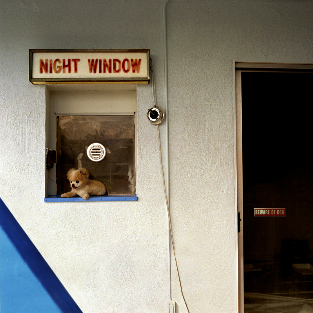 NIGHT WINDOWforwebsite.jpg