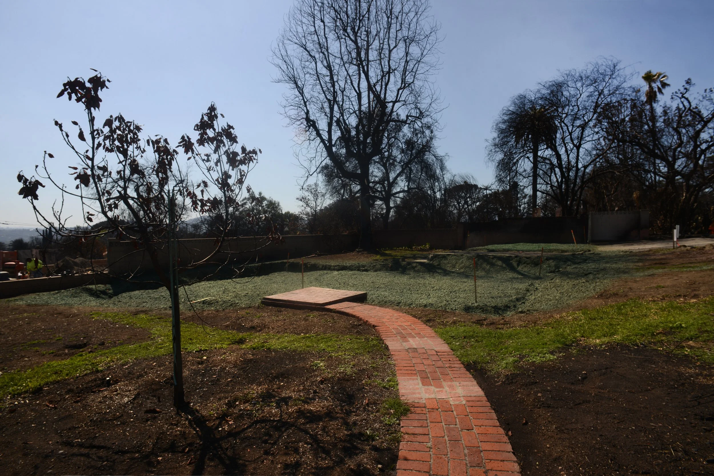002DSC_0380.jpg