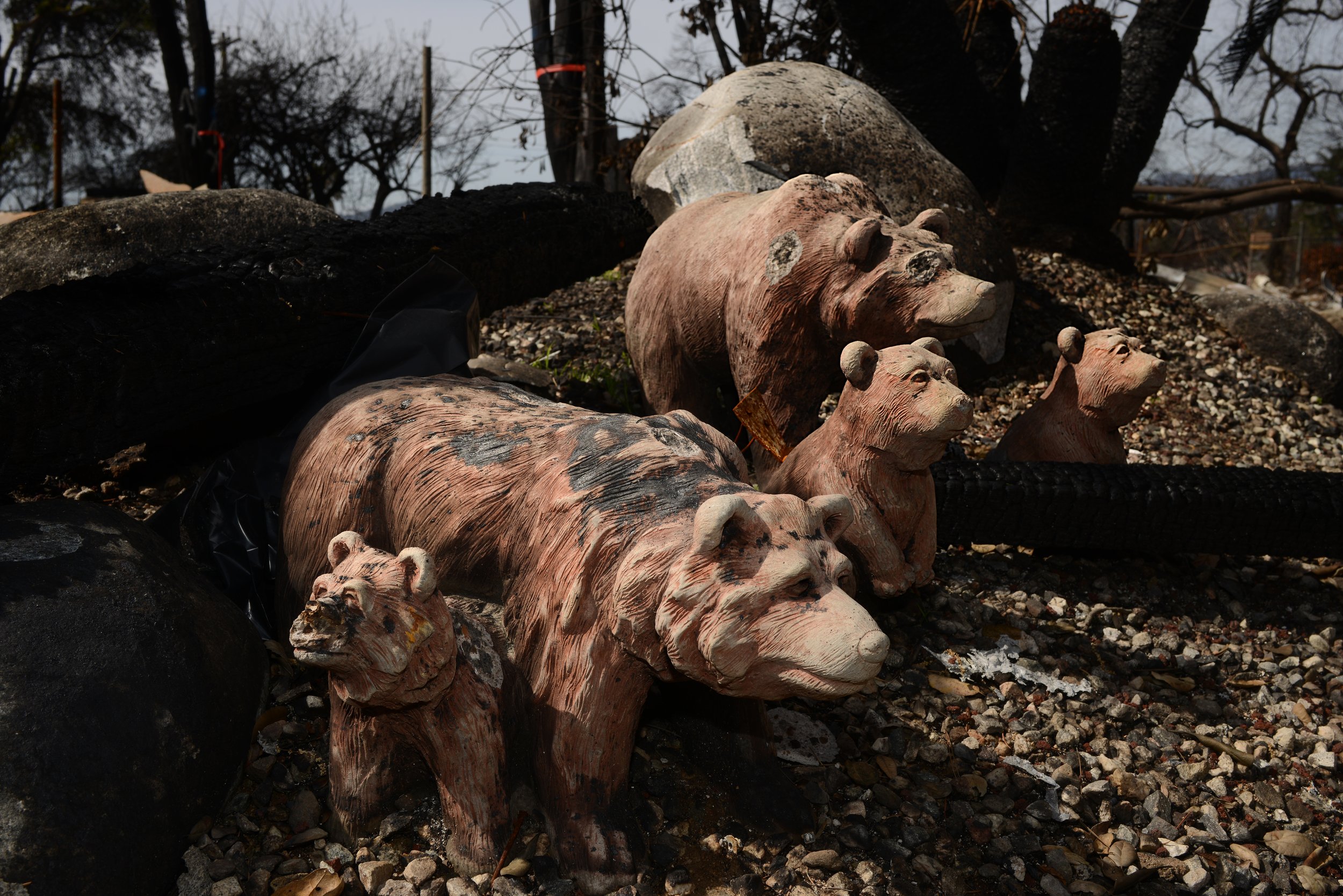 002DSC_0563 SIZED.jpg