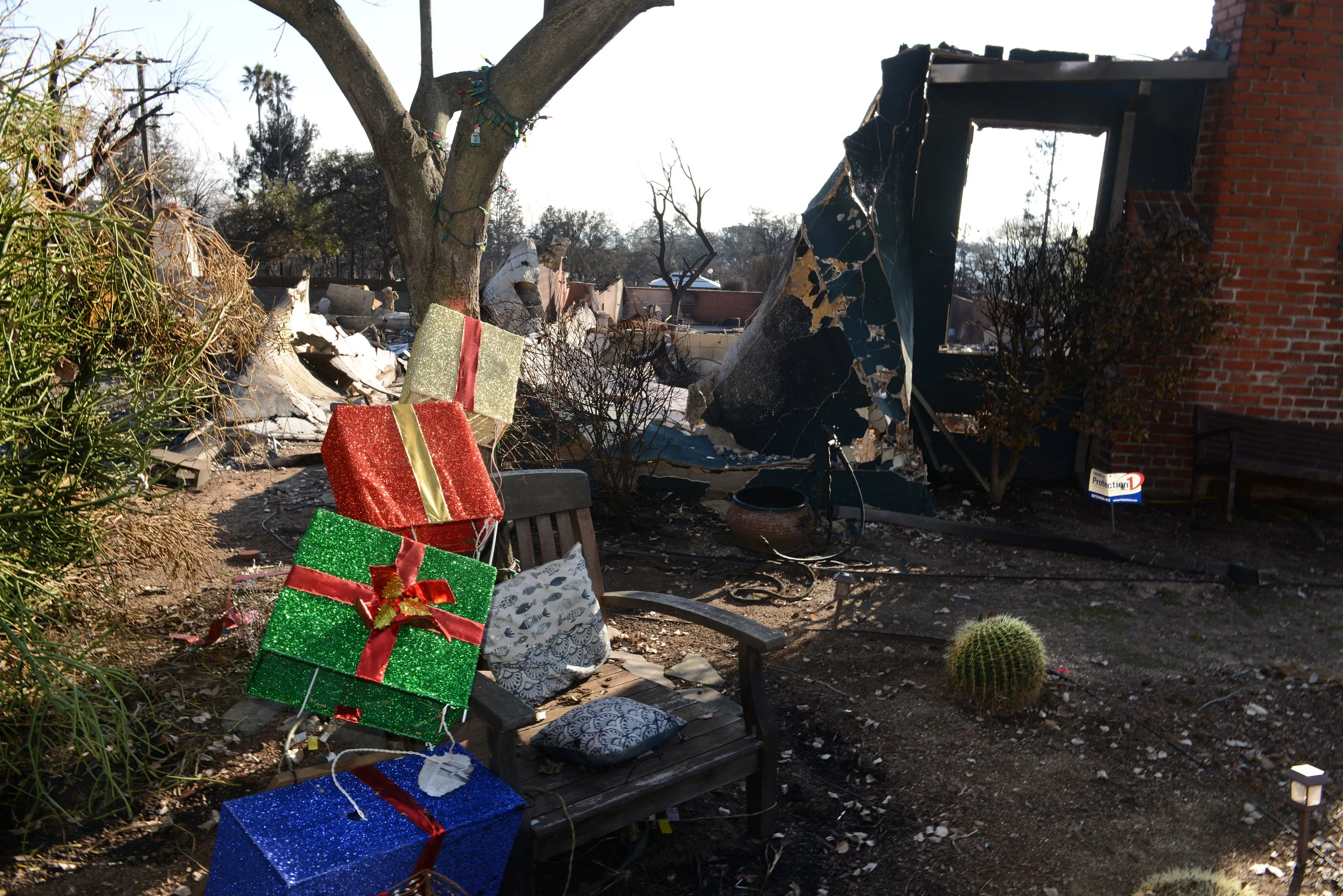 003FDSC_3303SIZED copy.jpg