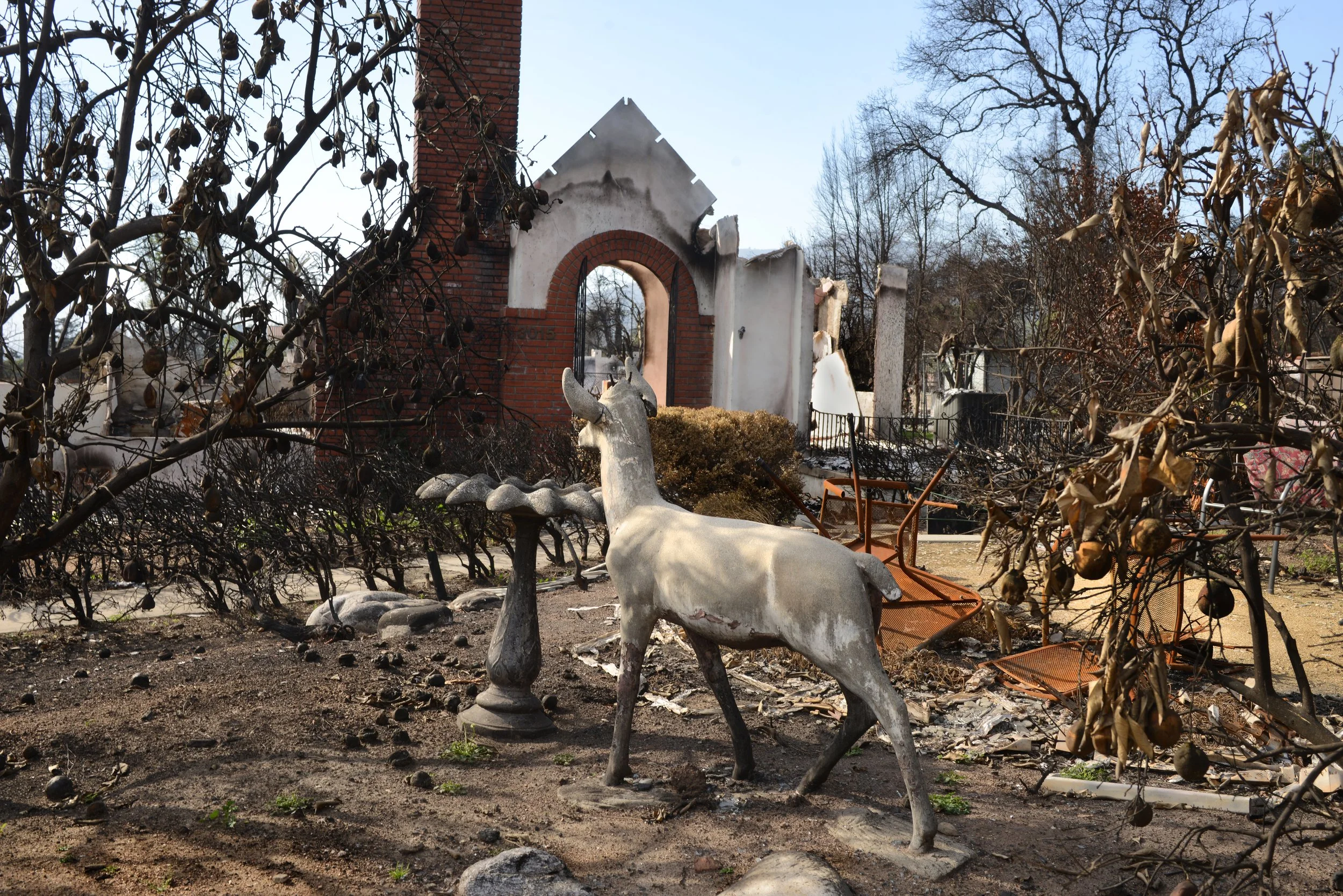 007DSC_3103 copy.jpg