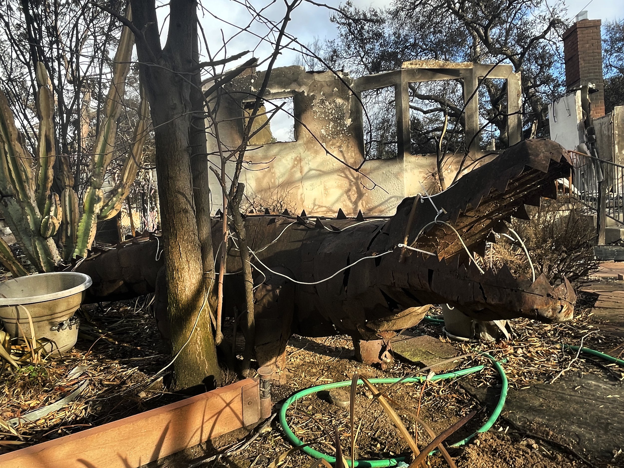 009IMG_0884 darker.SIZEDpsd copy.jpg