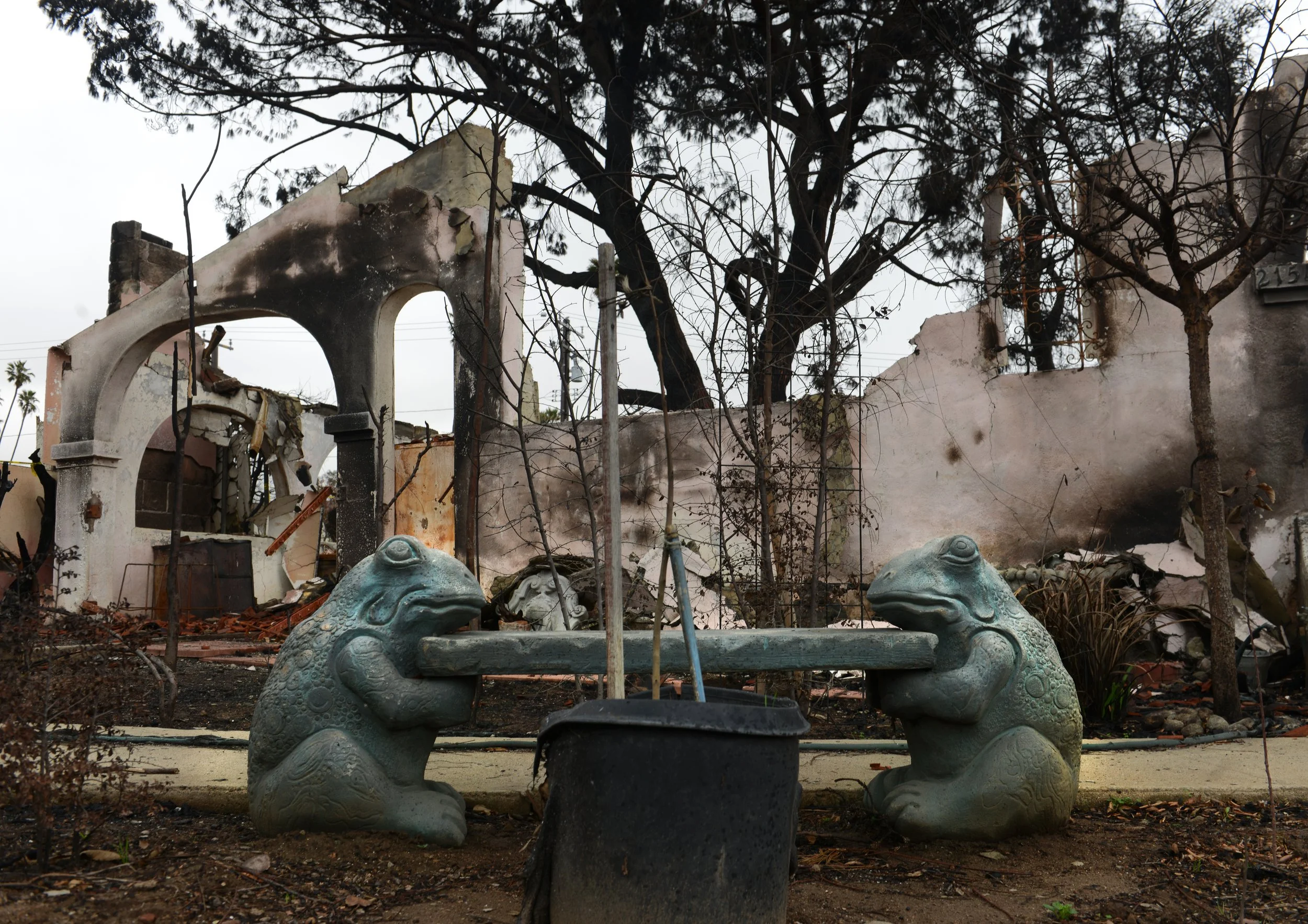 012DSC_2715 copy.jpg