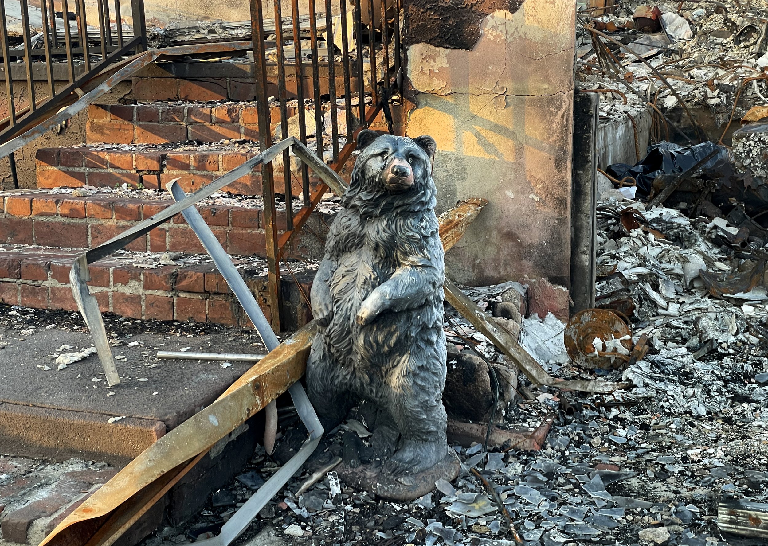 015IMG_3258cropped sized.jpg