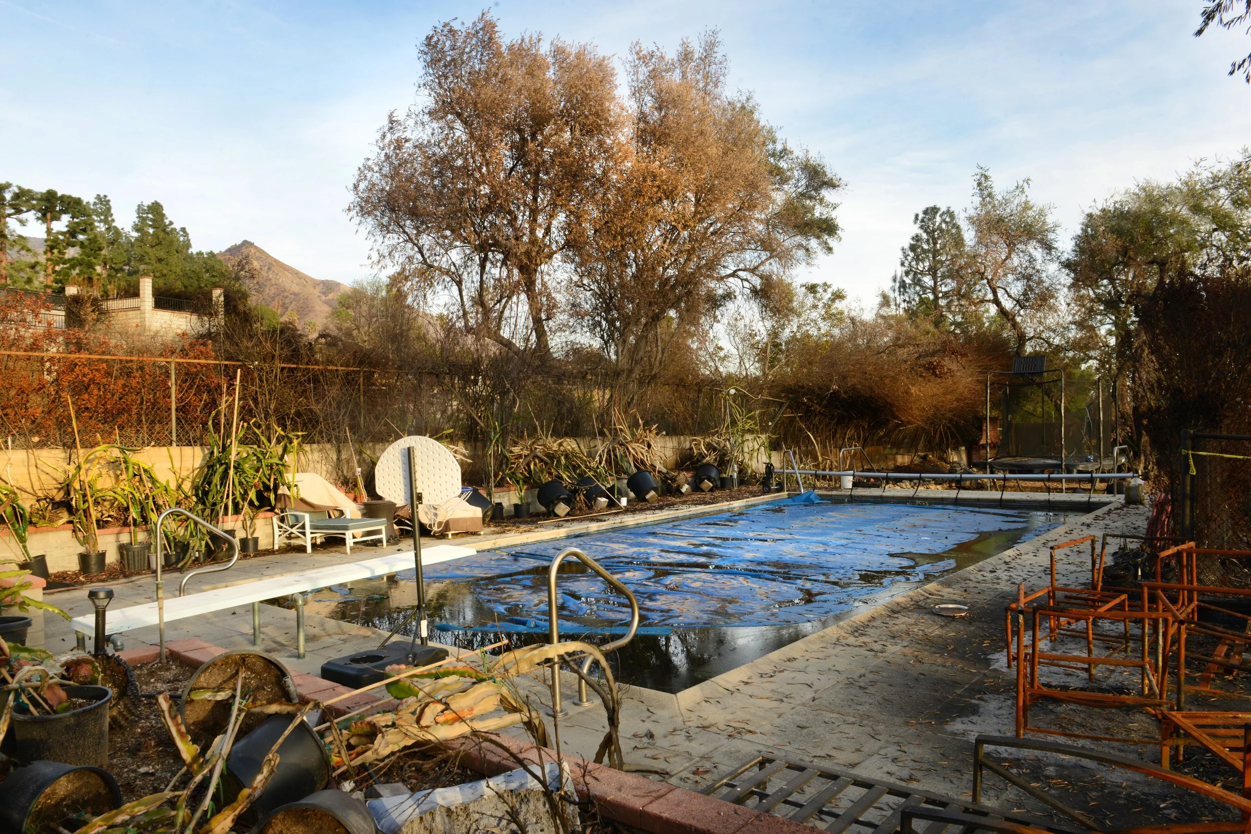 006DSC_4438cropped resized.jpg