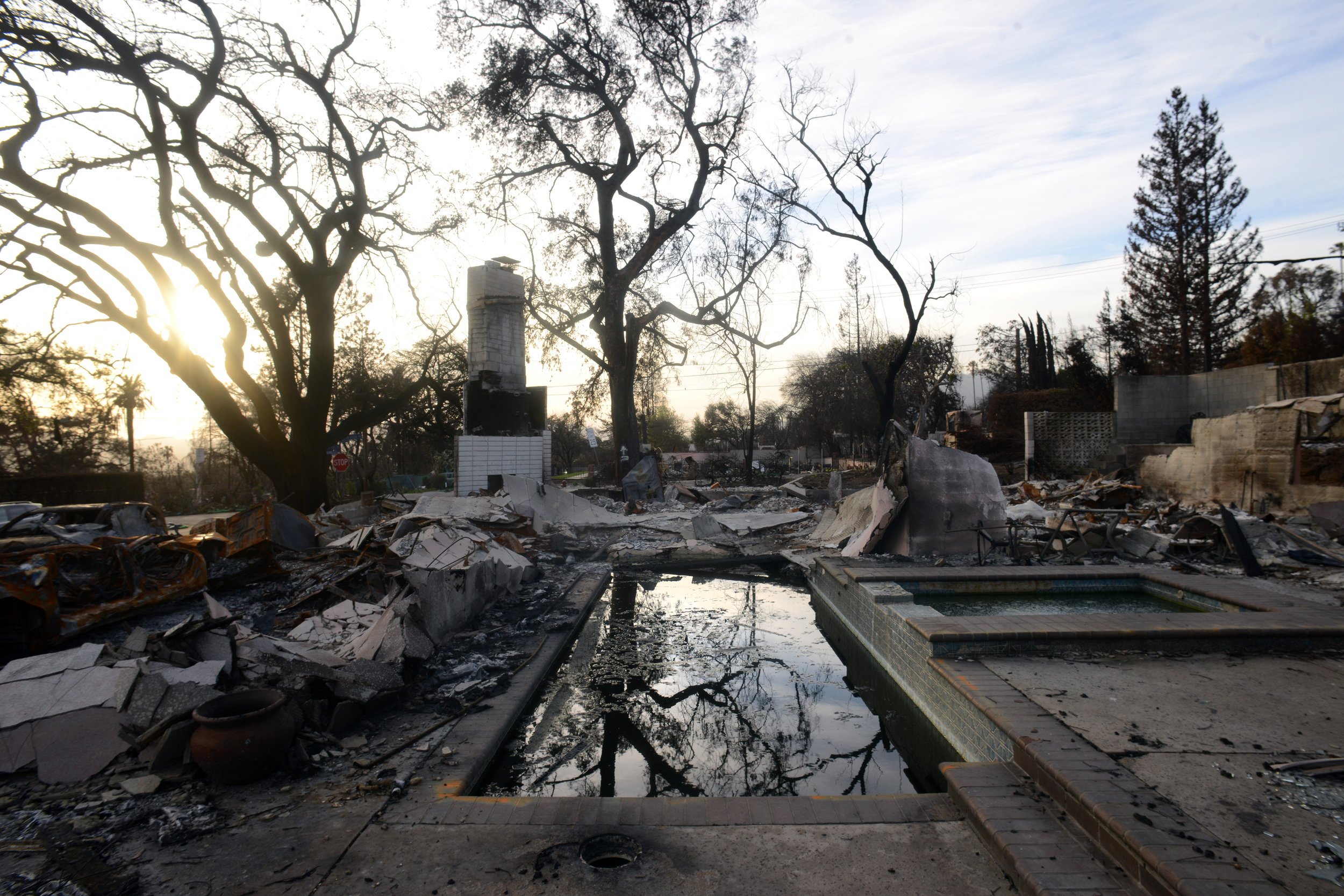 007DSC_8967 2 cropped resized.jpg