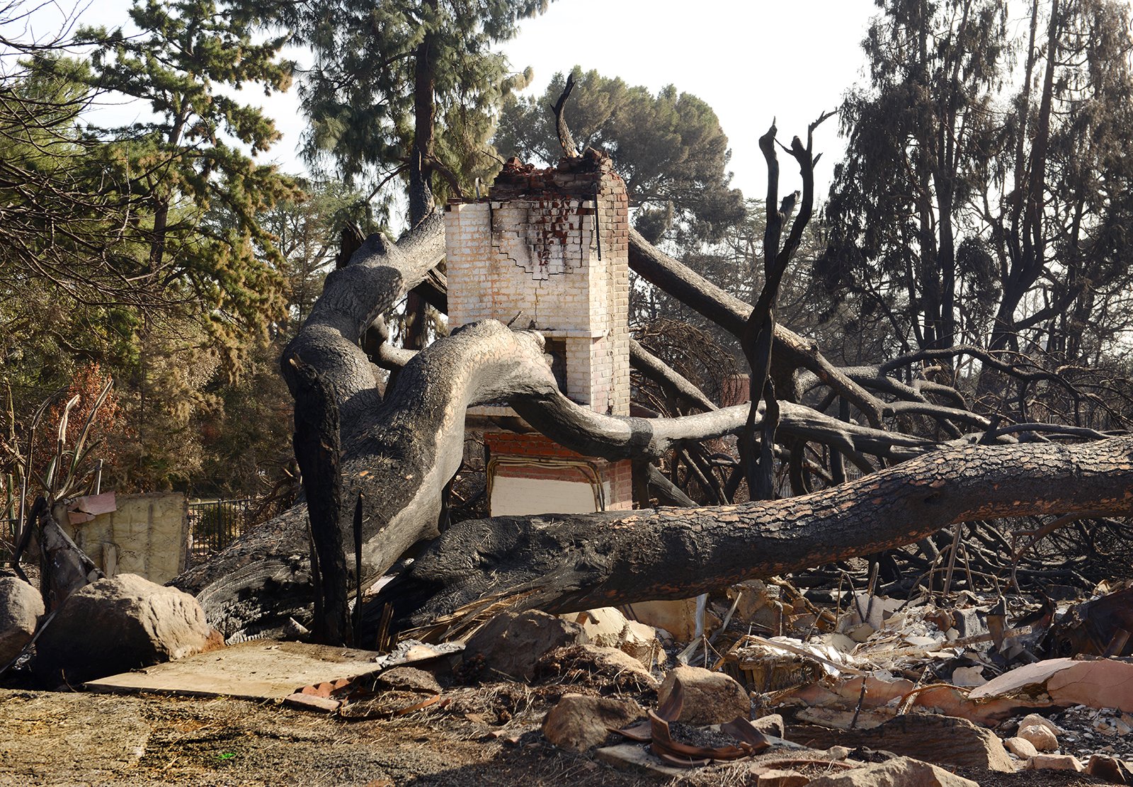 010DSC_1933SUP LOW RES website.jpg