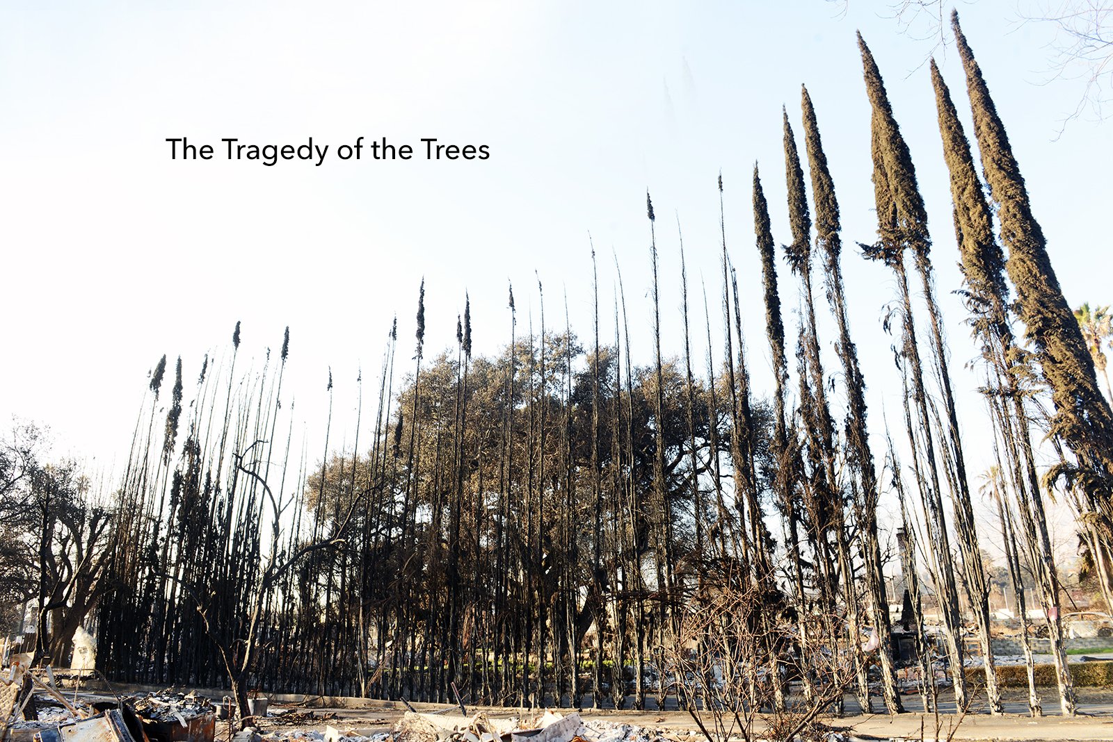 000DSC_2116title page low res for web.jpg