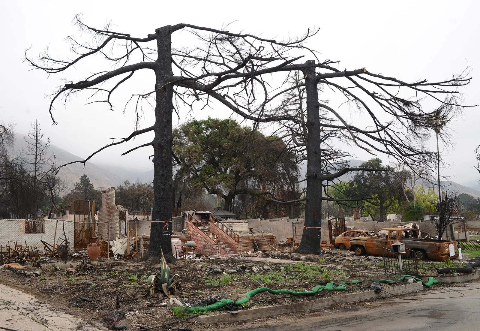 005DSC_3938supLowEws website.jpg