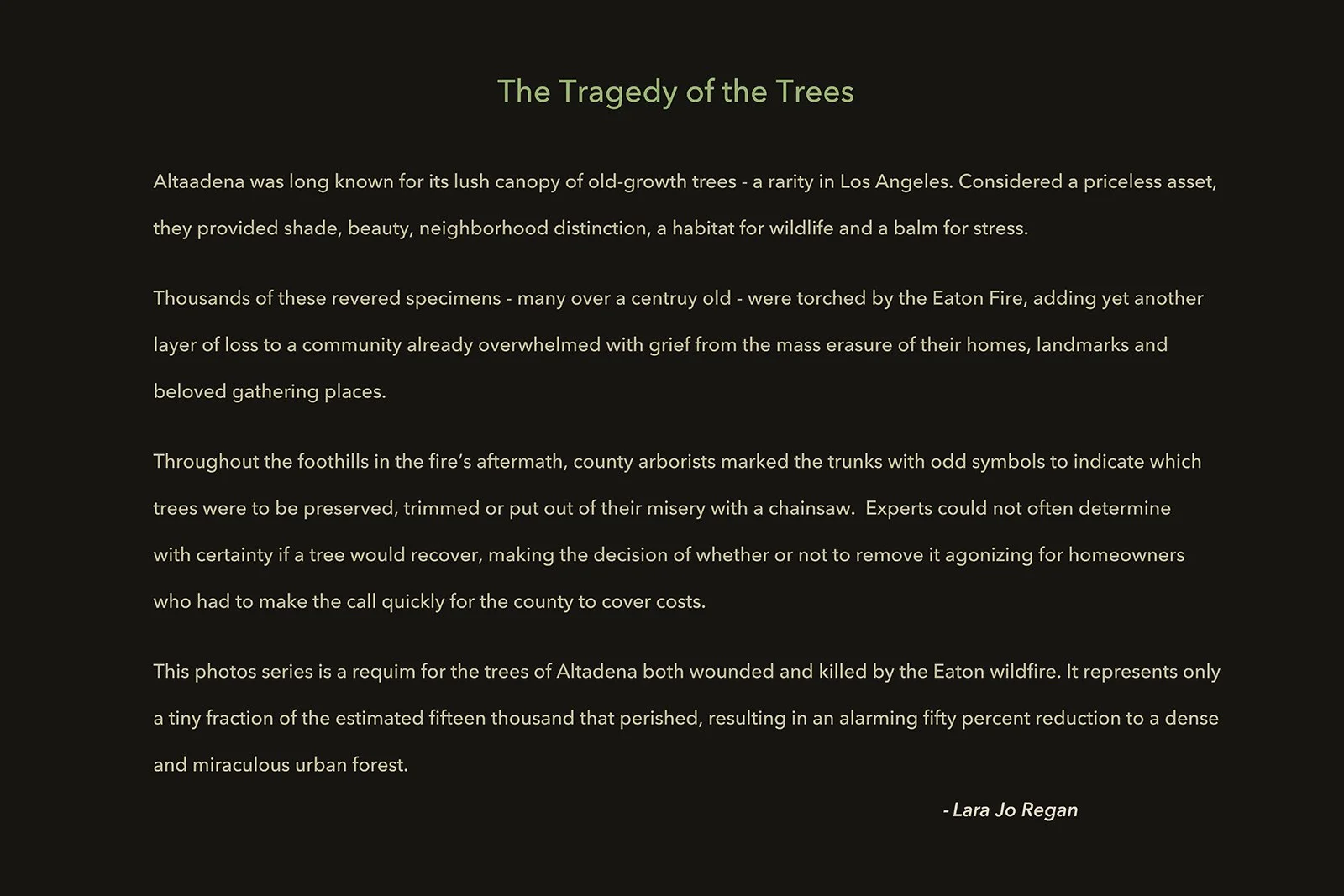 001tragedy of the trees update copy.jpg