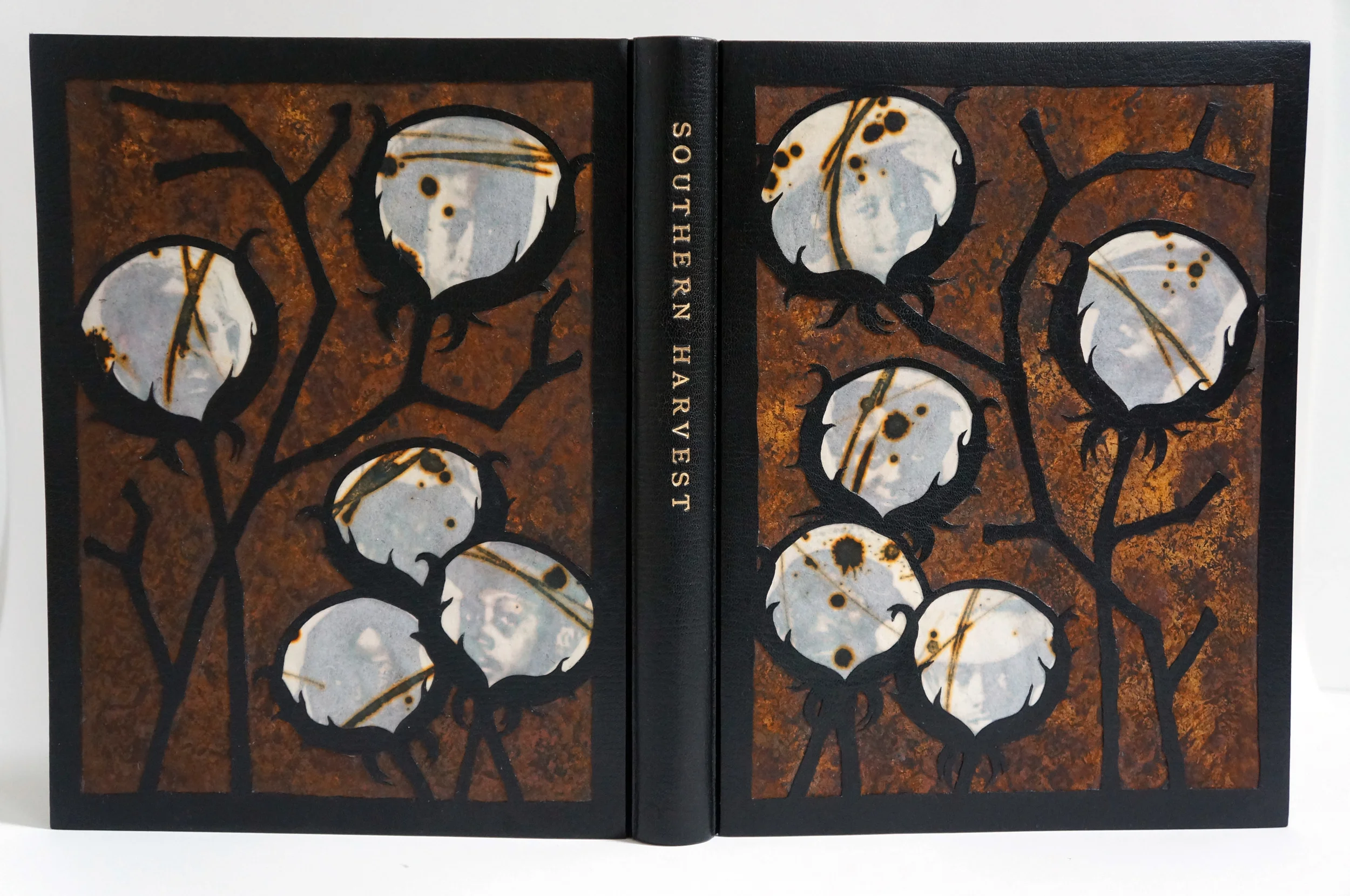Southern Harvest - full view