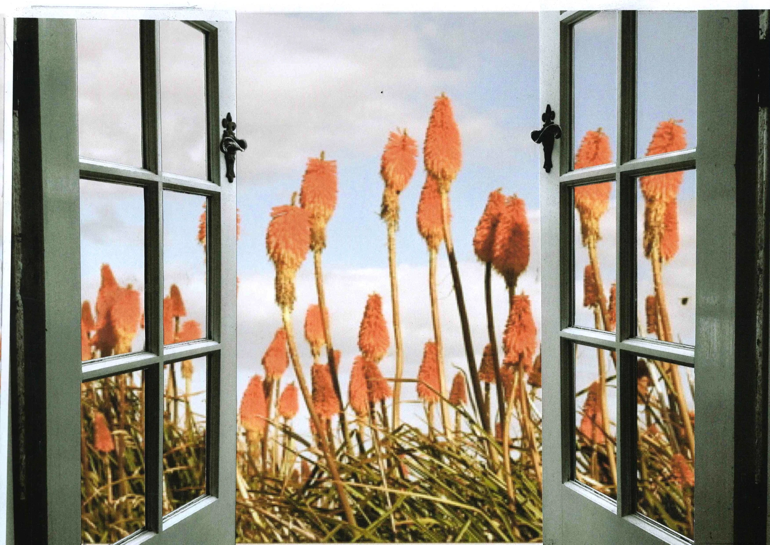 Original photographic collage