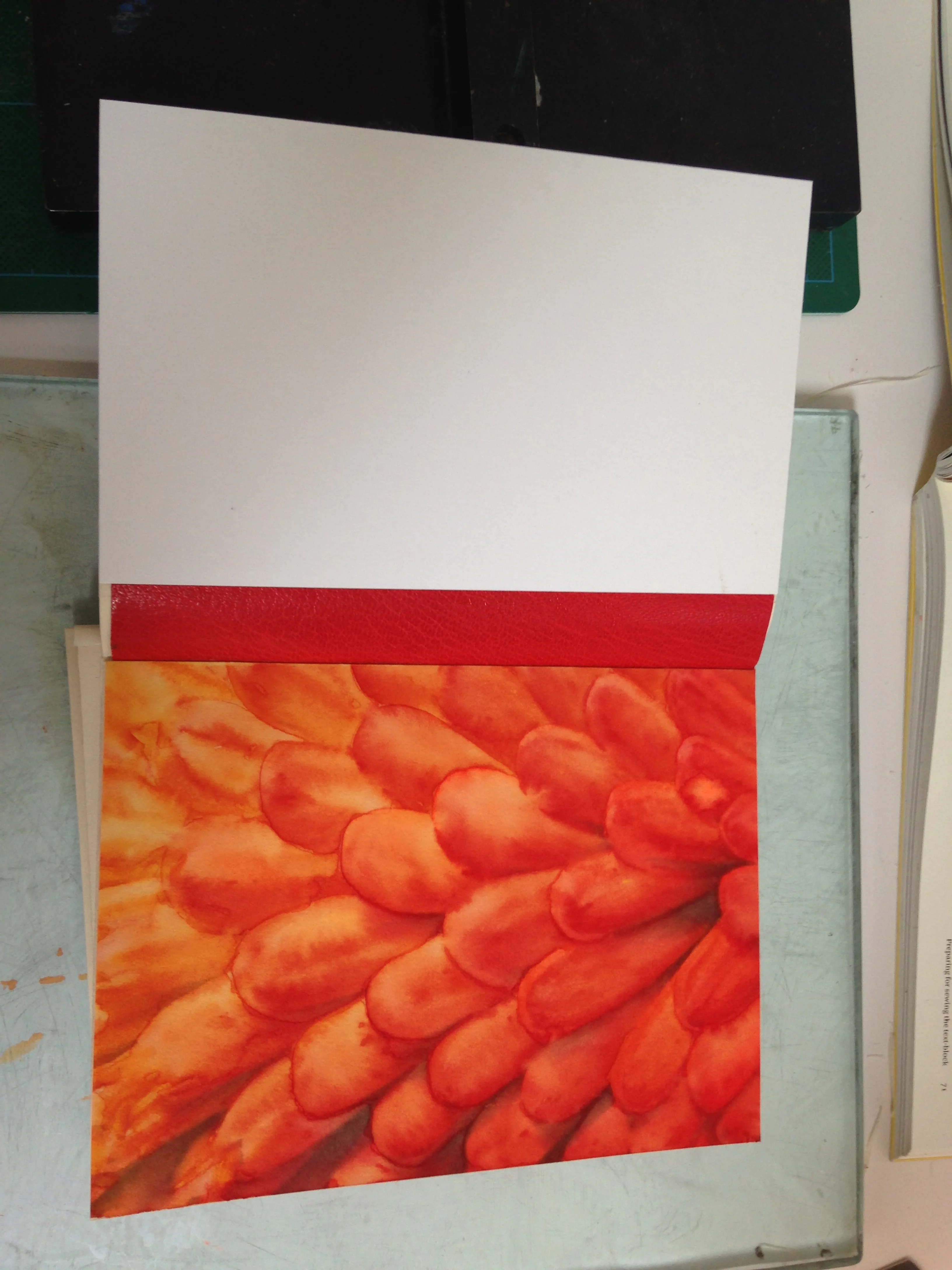 Leather jointed endpaper prior to sewing onto textblock.