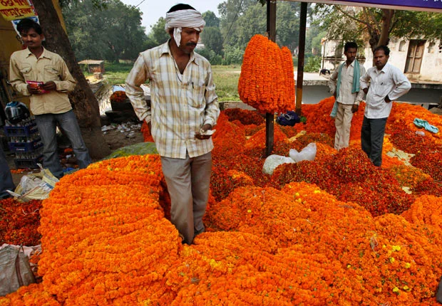 Indian marigold sellers
