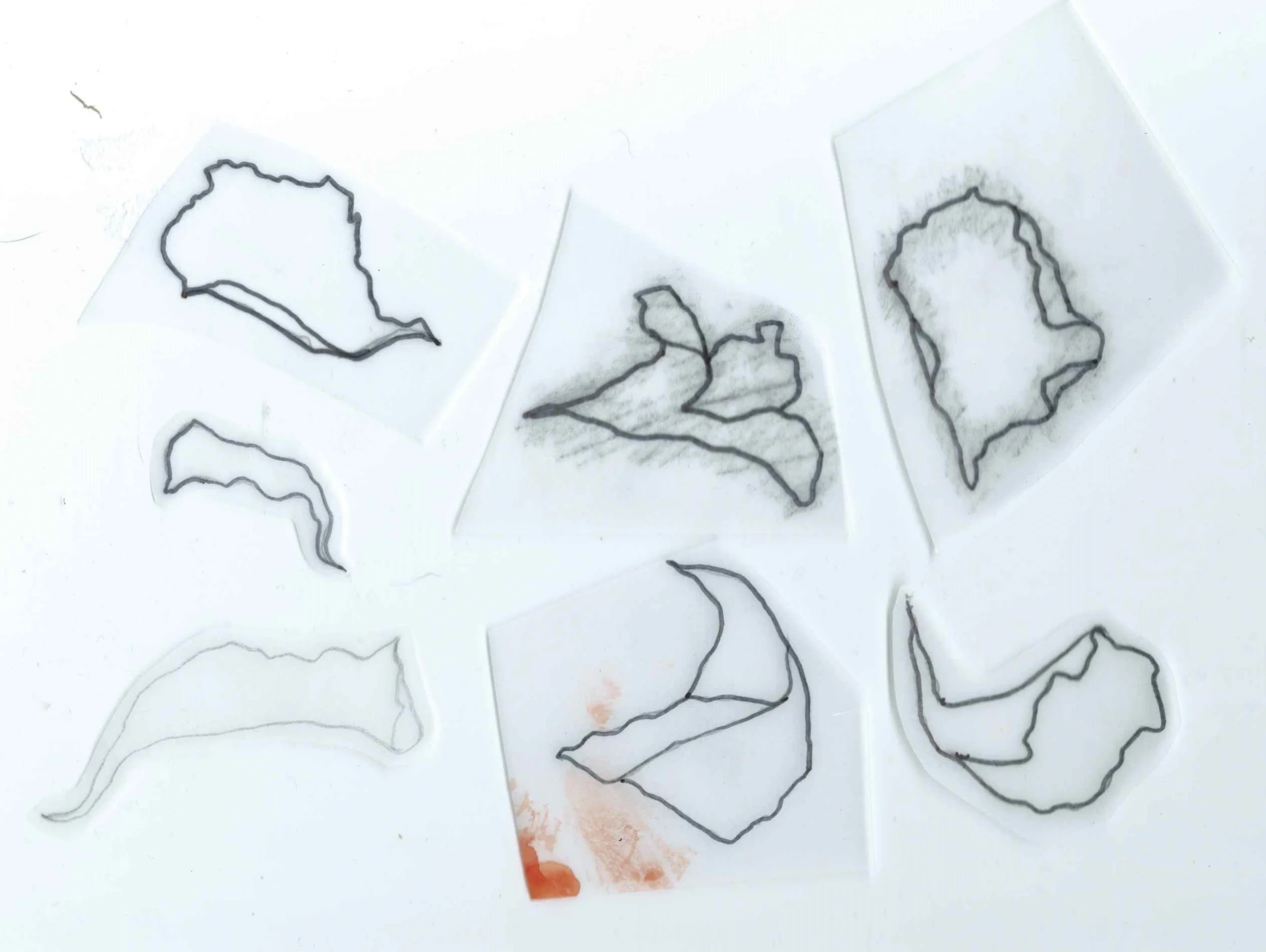 Petal shapes for onlays