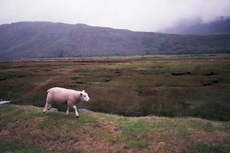 img064mini.jpg