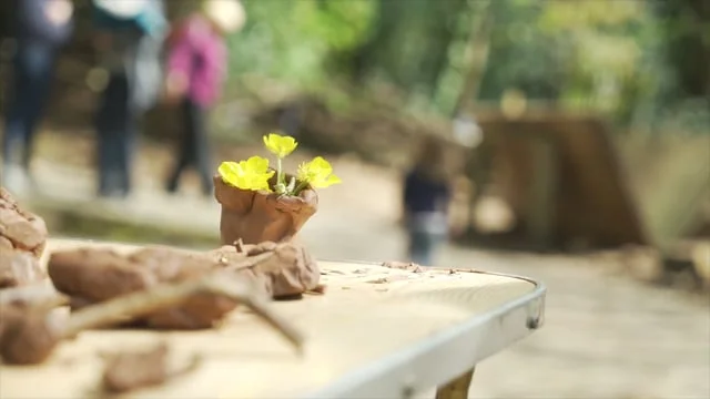 Highbury Orchard Community - Woodland Play