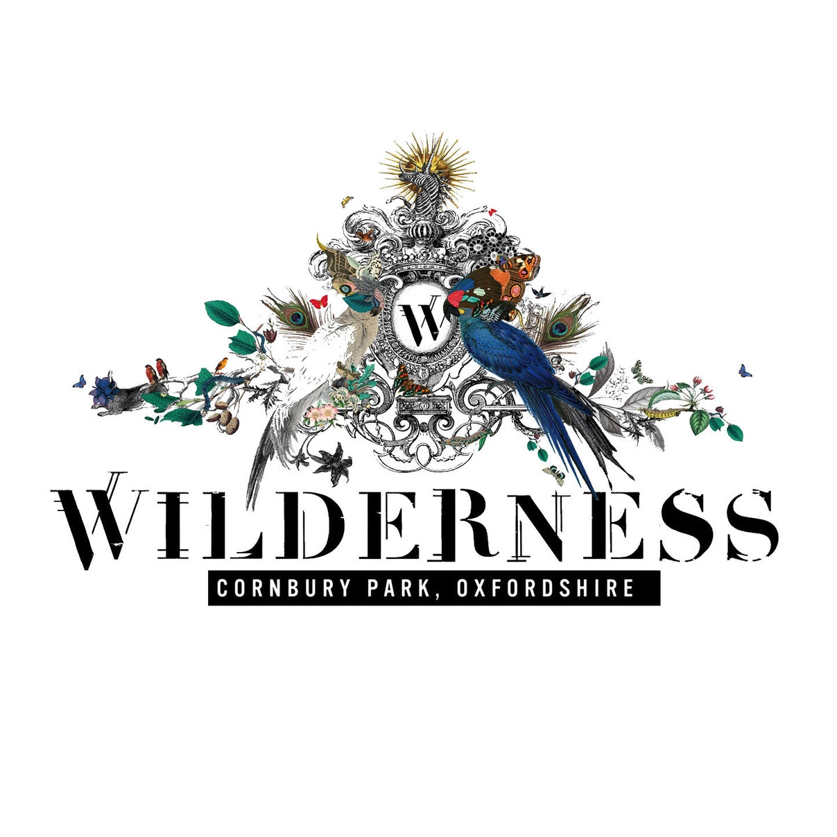Wilderness-Logo31.jpg