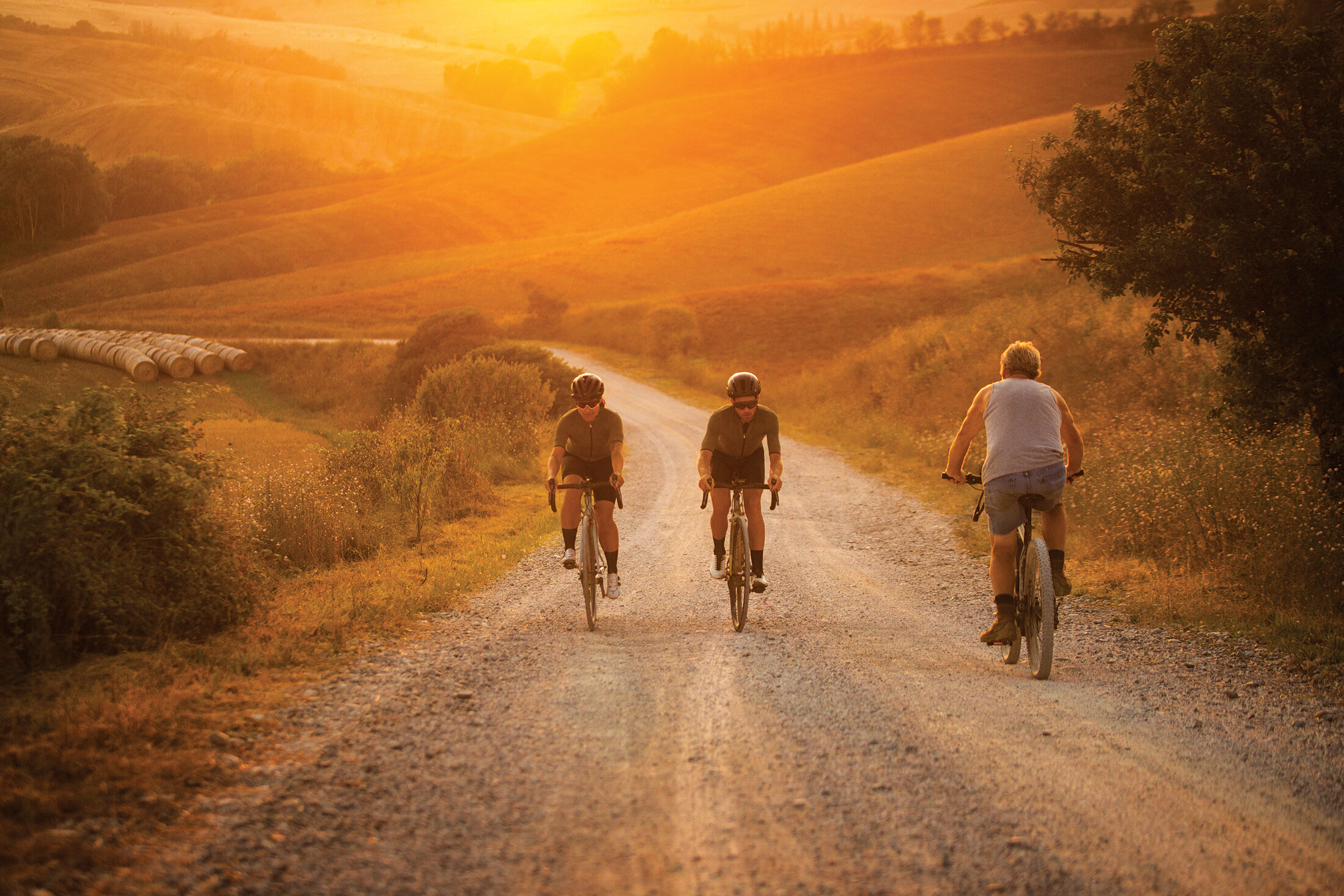 Tuscany_Cardew_Web_1.jpg