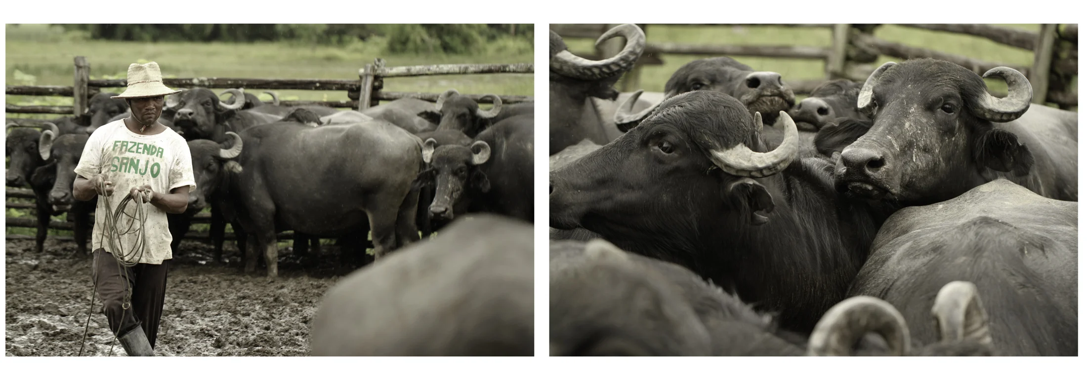 AAA_BUFFALO COWBOY_DIPTYQUE-2-32.jpg