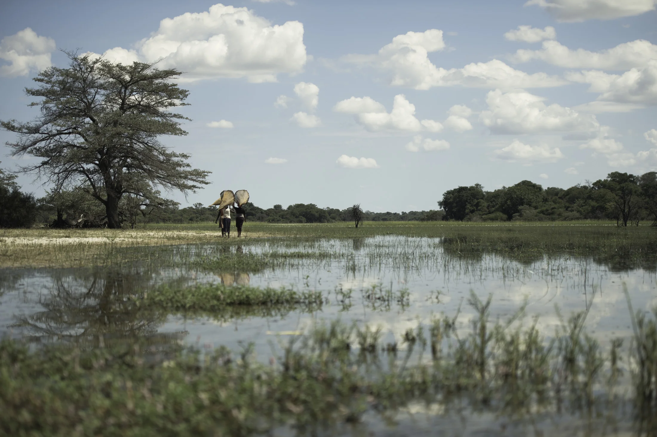 Okavango road trip 61-24.jpg
