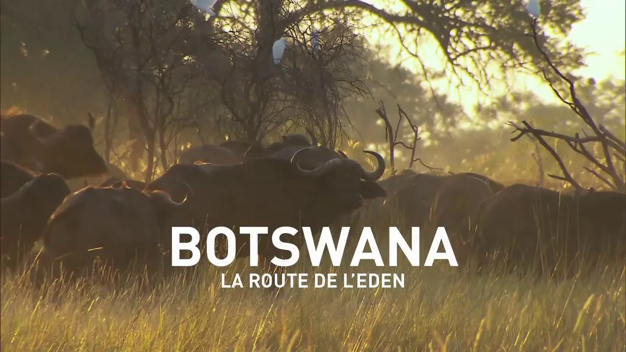 Teaser - BOTSWANA : la route de l'Eden