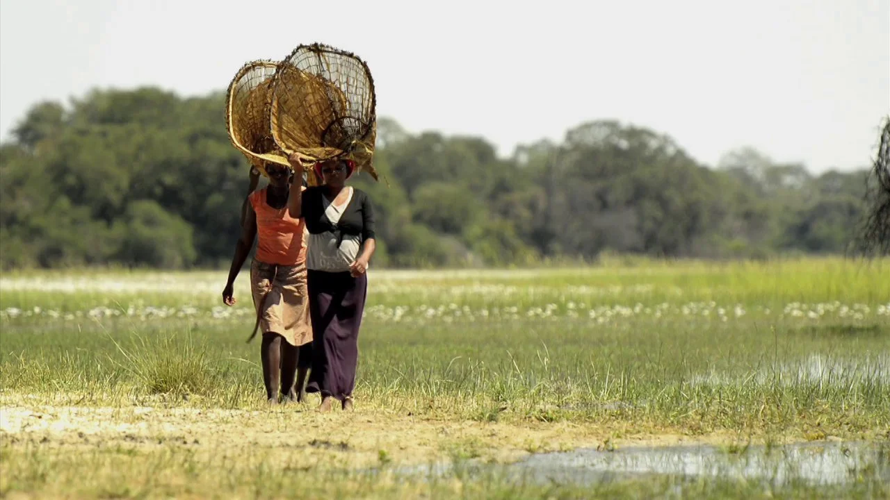 Showreel Okavango - Bande demo Okavango