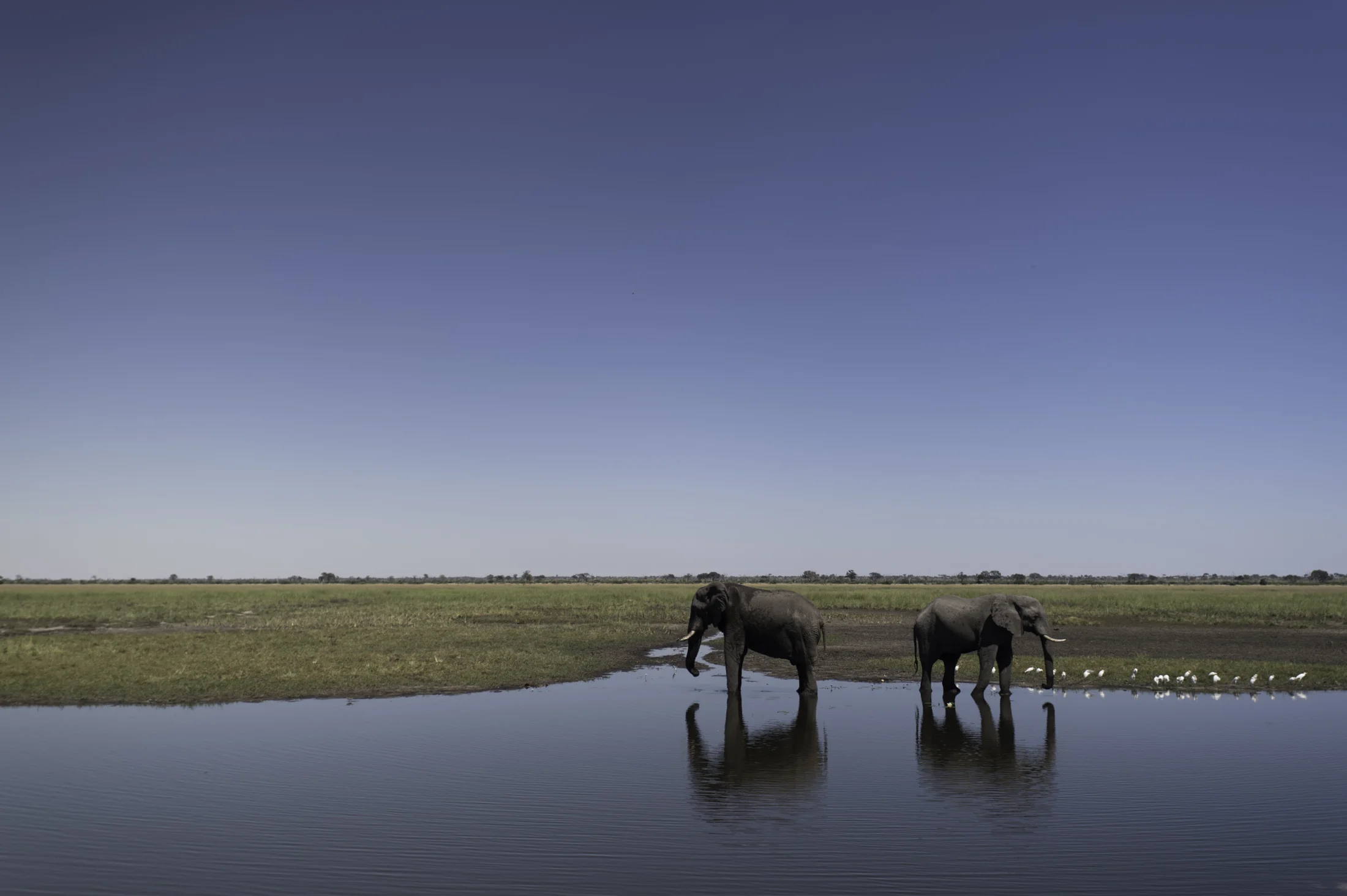 Okavango road trip 100-17.jpg