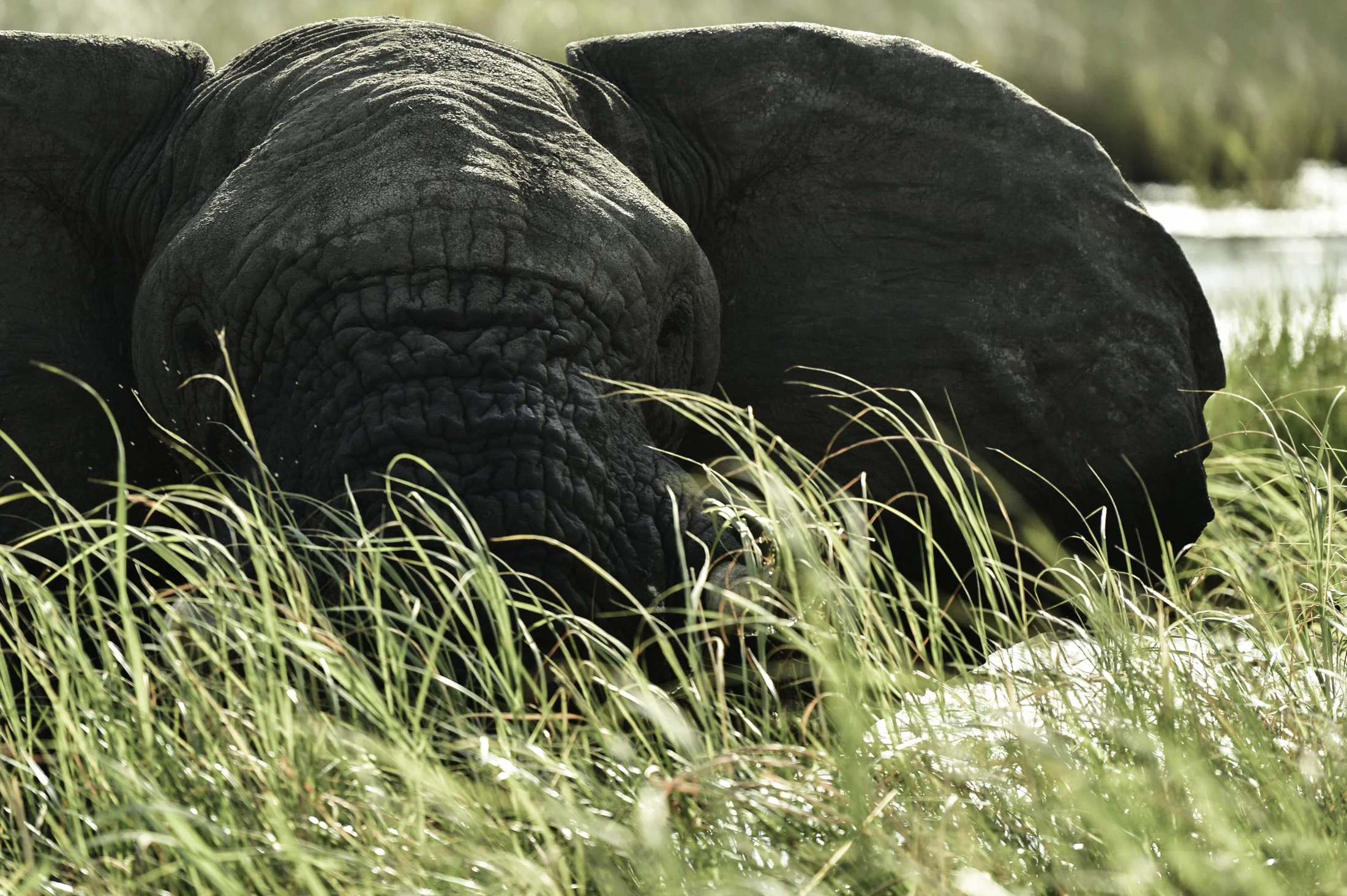Okavango road trip 145-ps-2-24.jpg