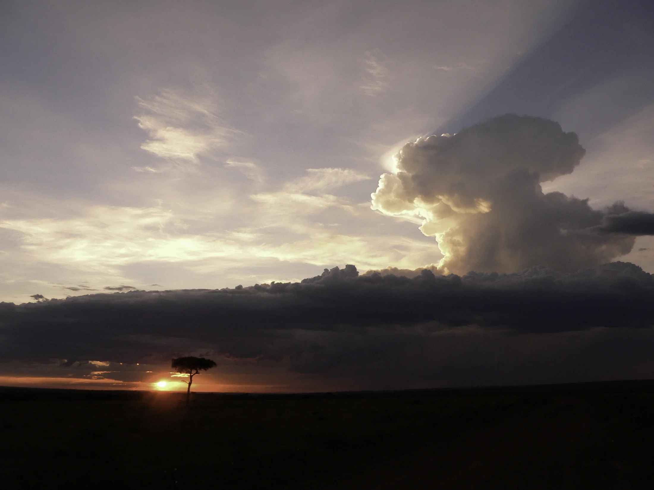 Mara sunset-1.jpg