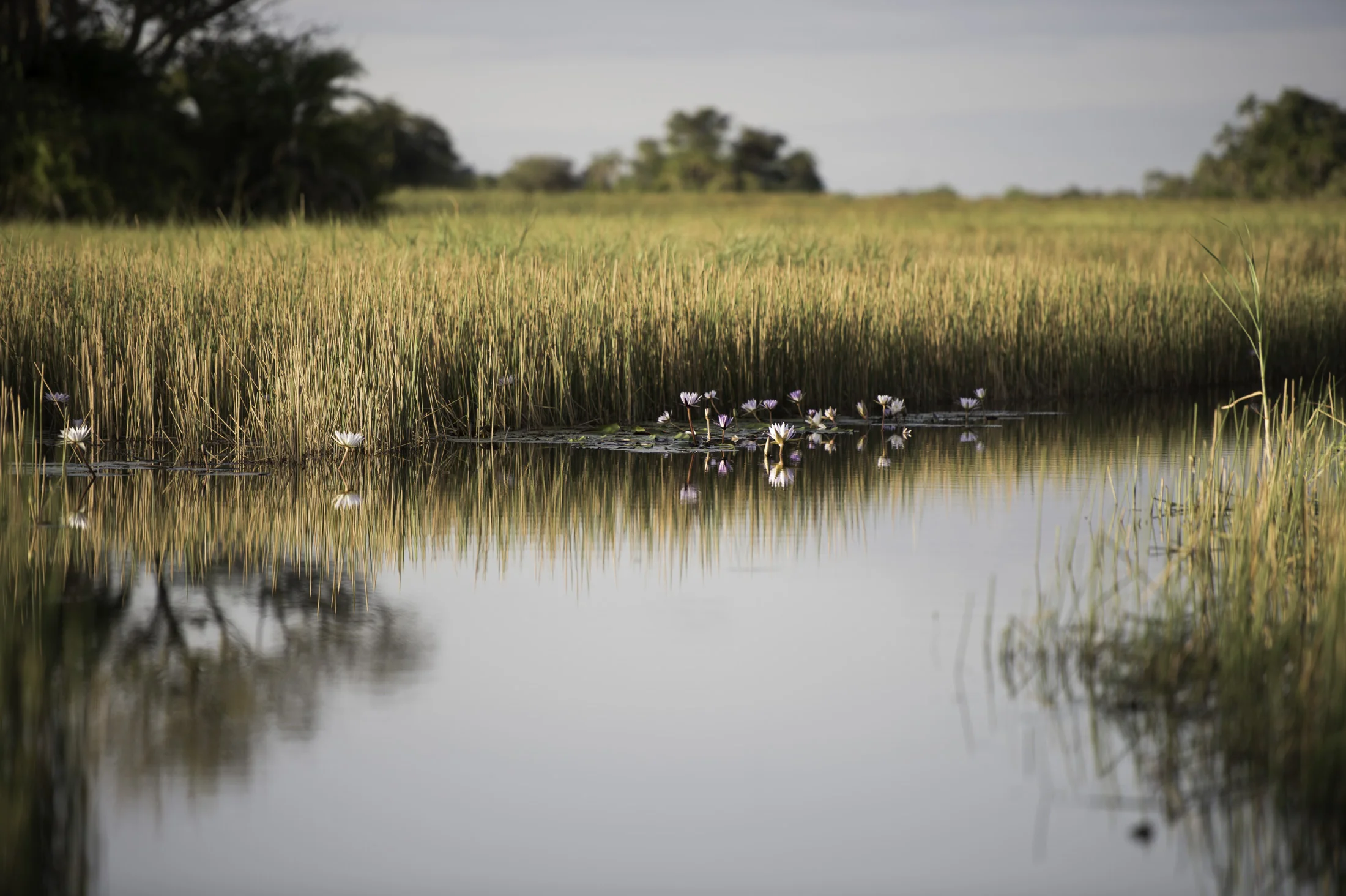 Okavango road trip 29-20.jpg