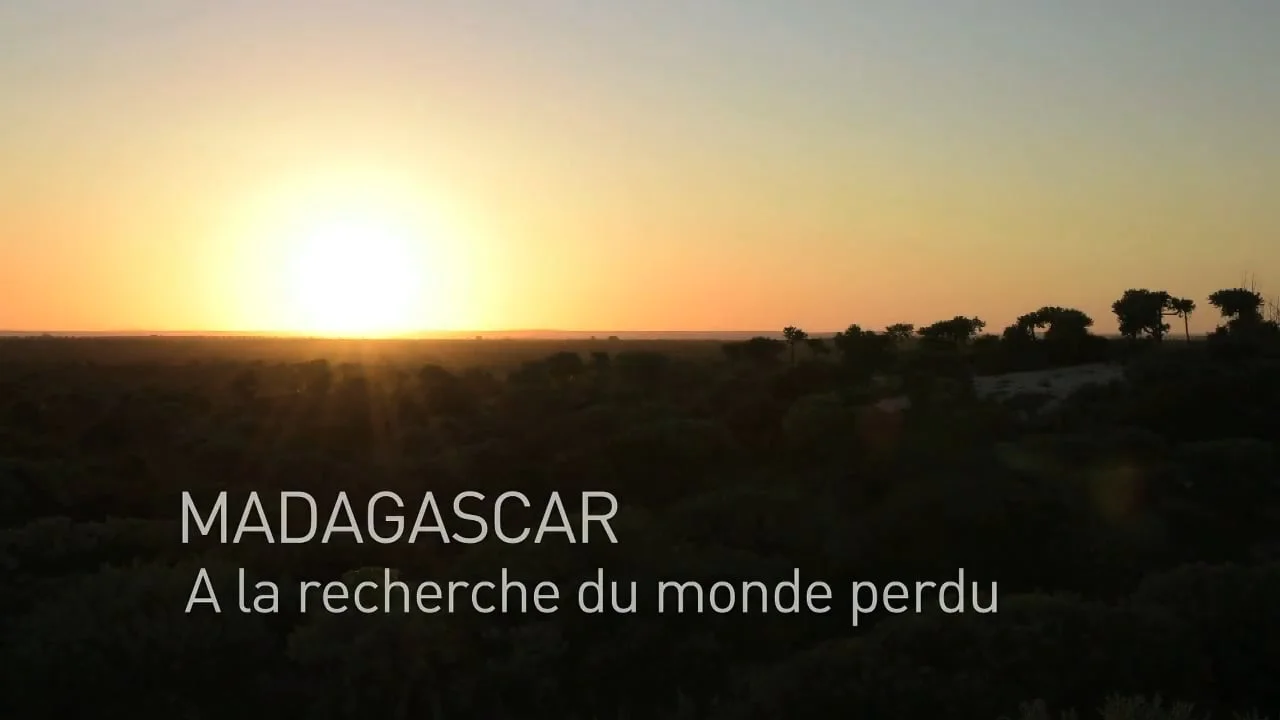 Teaser - Madagascar : à la recherche du Monde Perdu