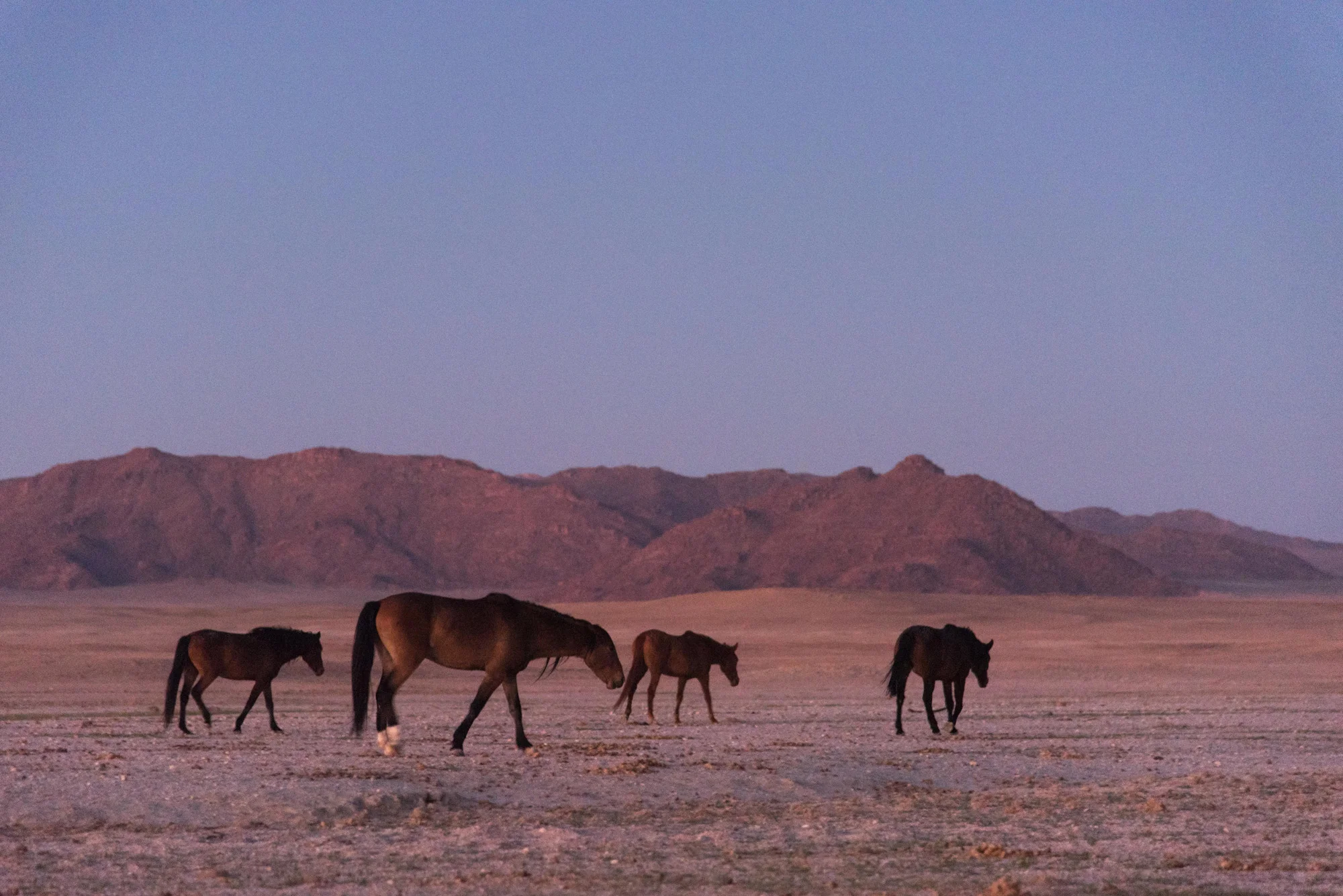 Namibie def-14.jpg