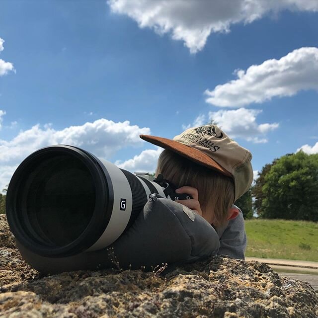 P... (5ans) nous offre son retour d&rsquo;exp&eacute;rience du 200-600mm Sony 
L&eacute;ger, maniable, piqu&eacute; remarquable... sa polyvalence en fait un vrai indispensable !
#fieldtest #200600mmsony #nevertooyoungtostart #sonya7iii #sonyfrance