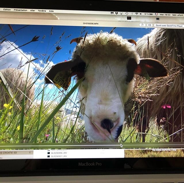 Coucou toi !!!
#screenshot #sheep #plitvice #prairie #grazing #beeeellebete #soonontv #morefilmingtomorrow