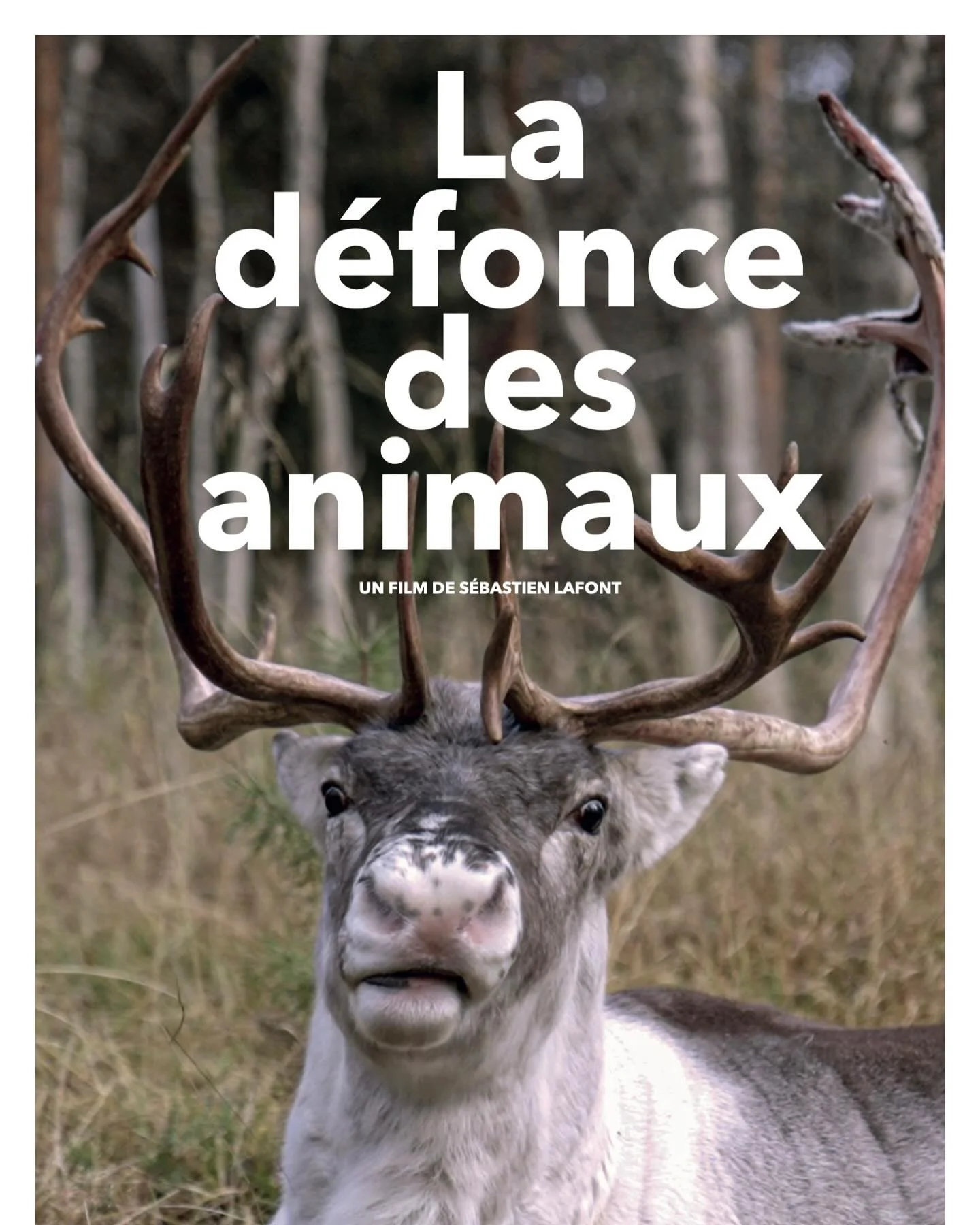 Me and a great team of people just finished this film about Animals getting high&hellip; 
Soon on tv !
@artefr 
Produced by Christophe Desagazan (Screenshot production)