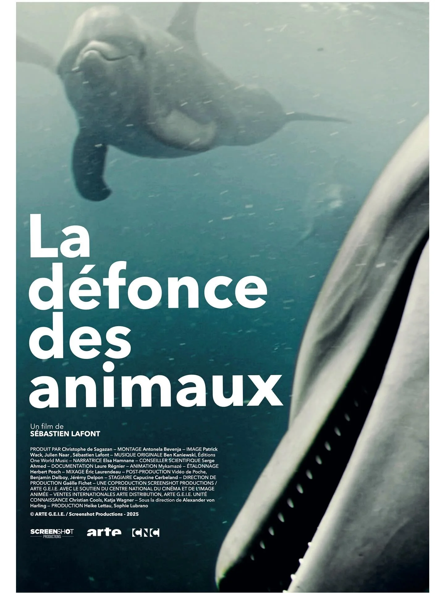 Merci &agrave; toutes celles et ceux qui m&rsquo;ont aid&eacute; &agrave; faire ce film !!! 🫶💋😻