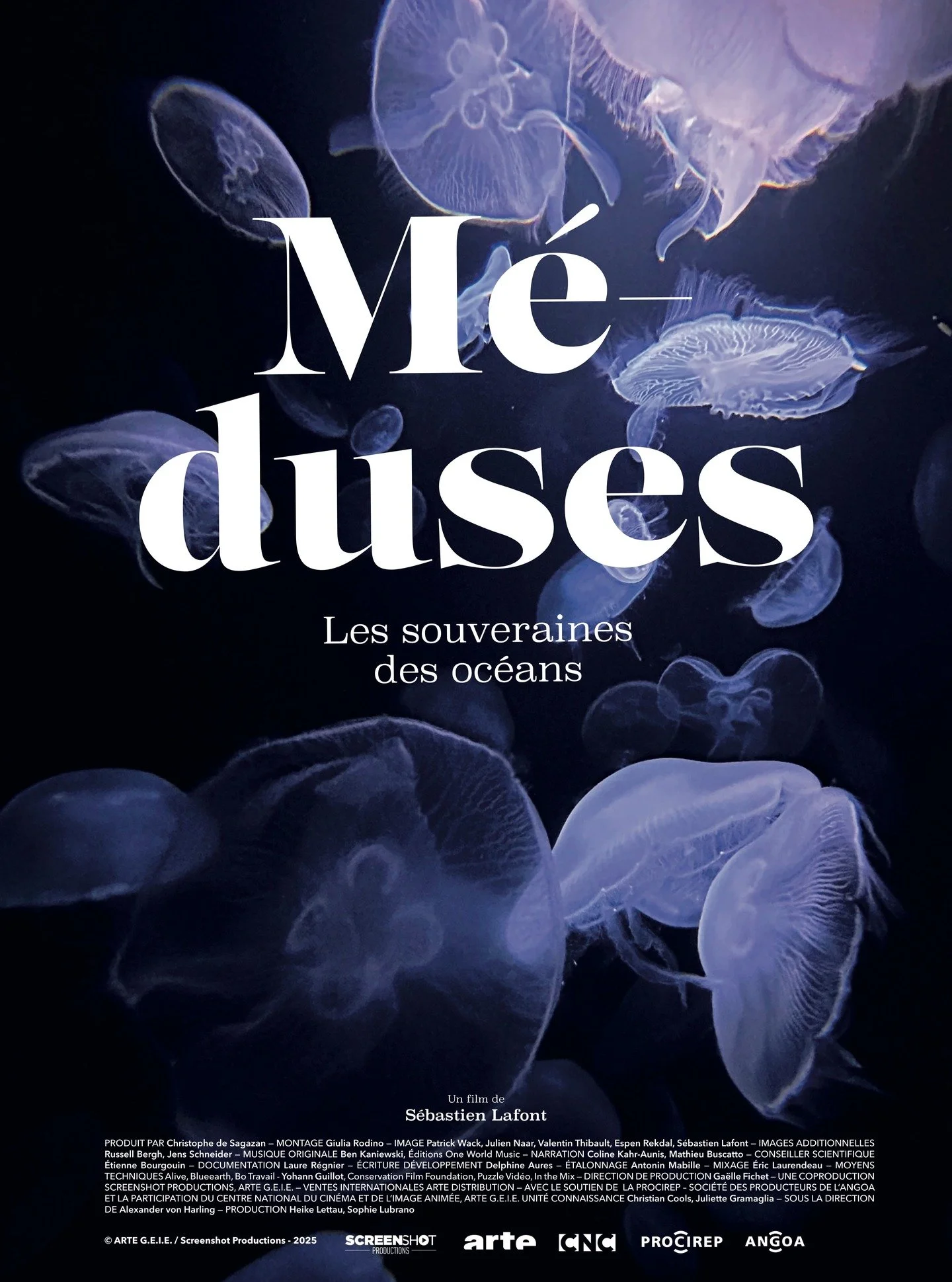 DISPONIBLE SUR ARTE.FR !!! Elles n&rsquo;ont pas de c&oelig;ur, pas de cerveau, pas de squelette et sont constitu&eacute;es &agrave; 90% d&rsquo;eau ! Pourtant, les m&eacute;duses font r&eacute;guli&egrave;rement la une des m&eacute;dias. Par endroit