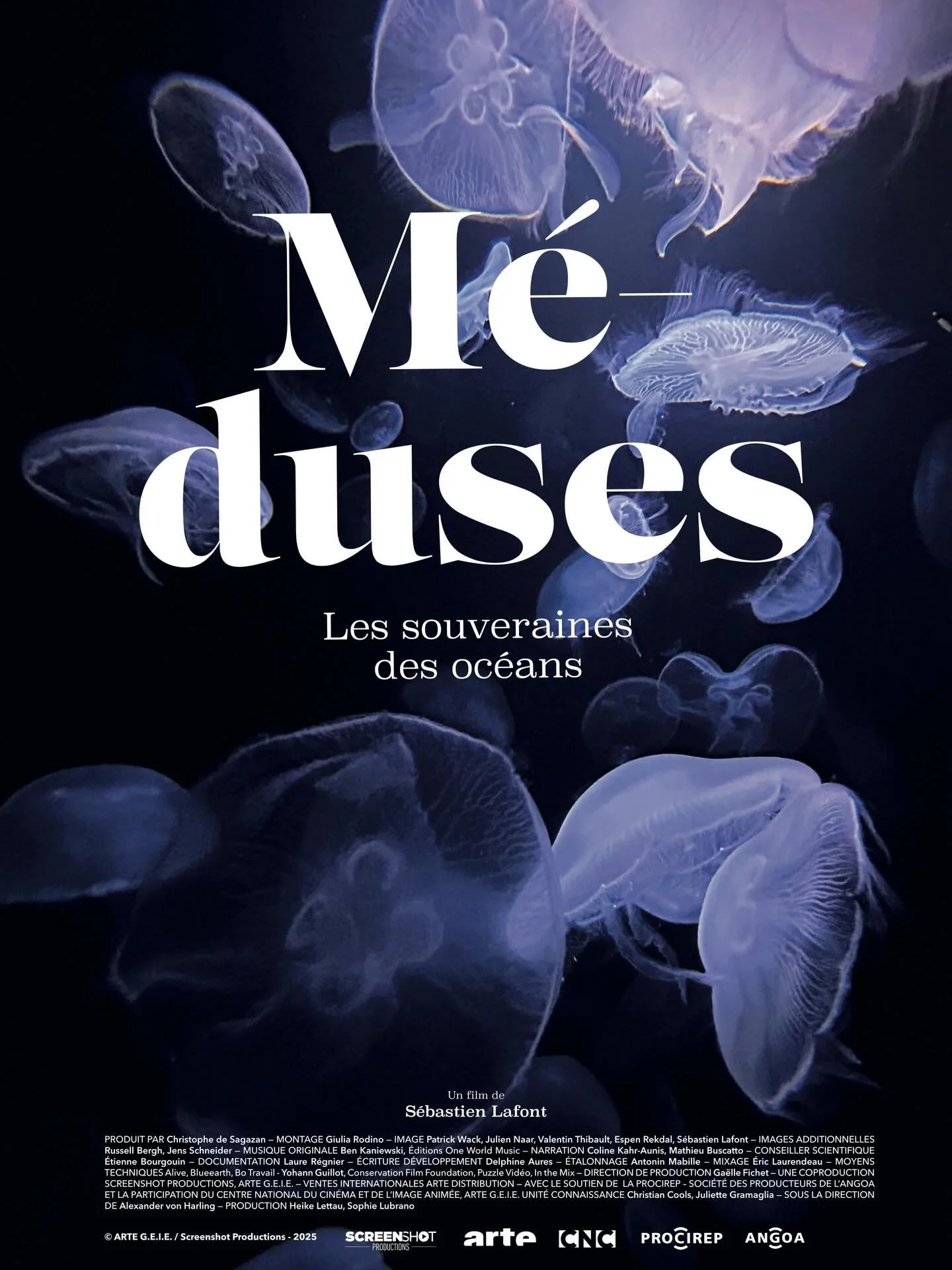 2025 : ups and downs but a year I&rsquo;m mega proud of !
I did 2 films I love with great friends and even family 
A dream came true : I was live on radio to talk about jellyfish with @vidardmathieu 
Had a fantastic year with my family 
Thank you all