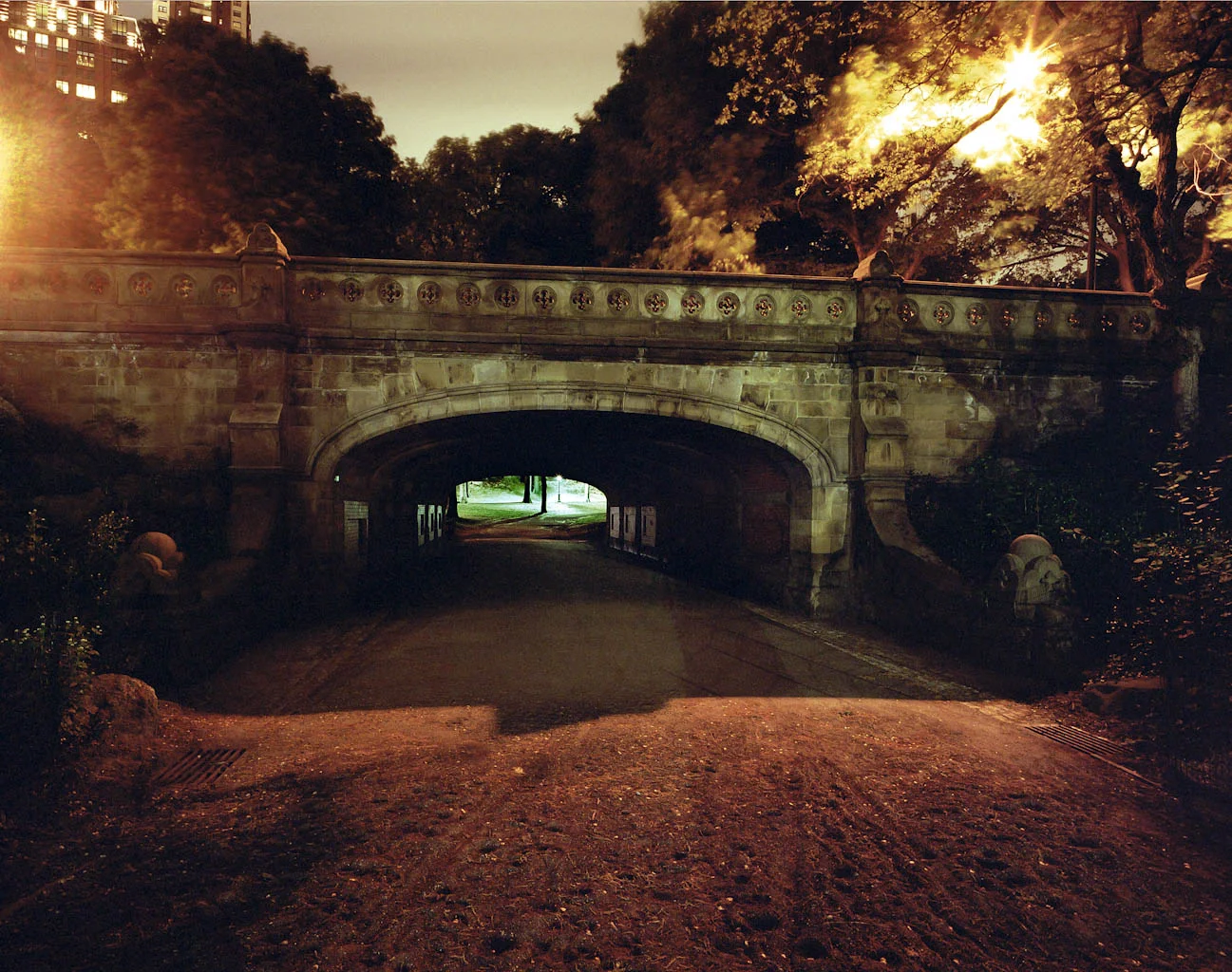 CENTRAL PARK, new york 2007 42X53.jpg