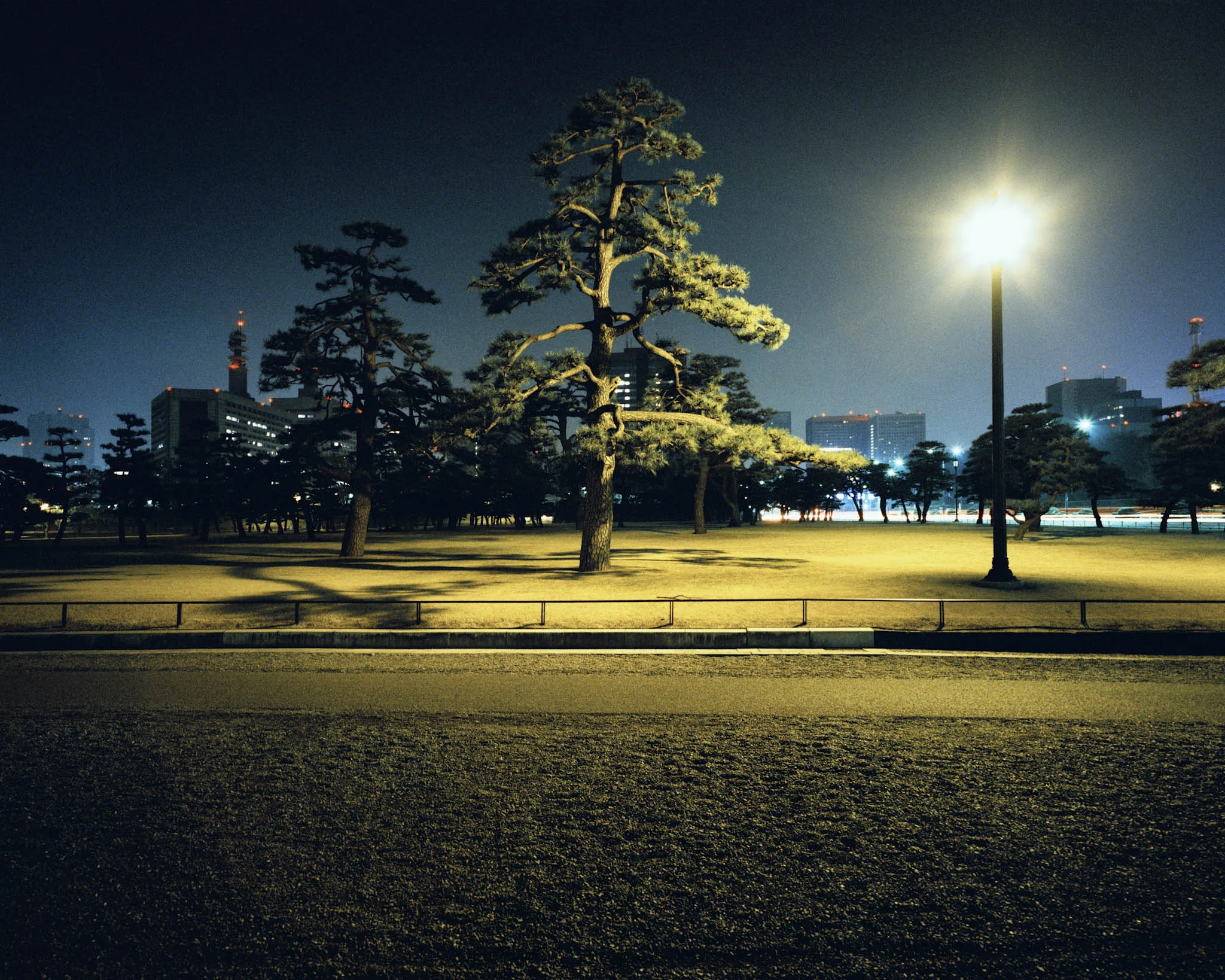 IMPERIAL GARDEN OK.jpg