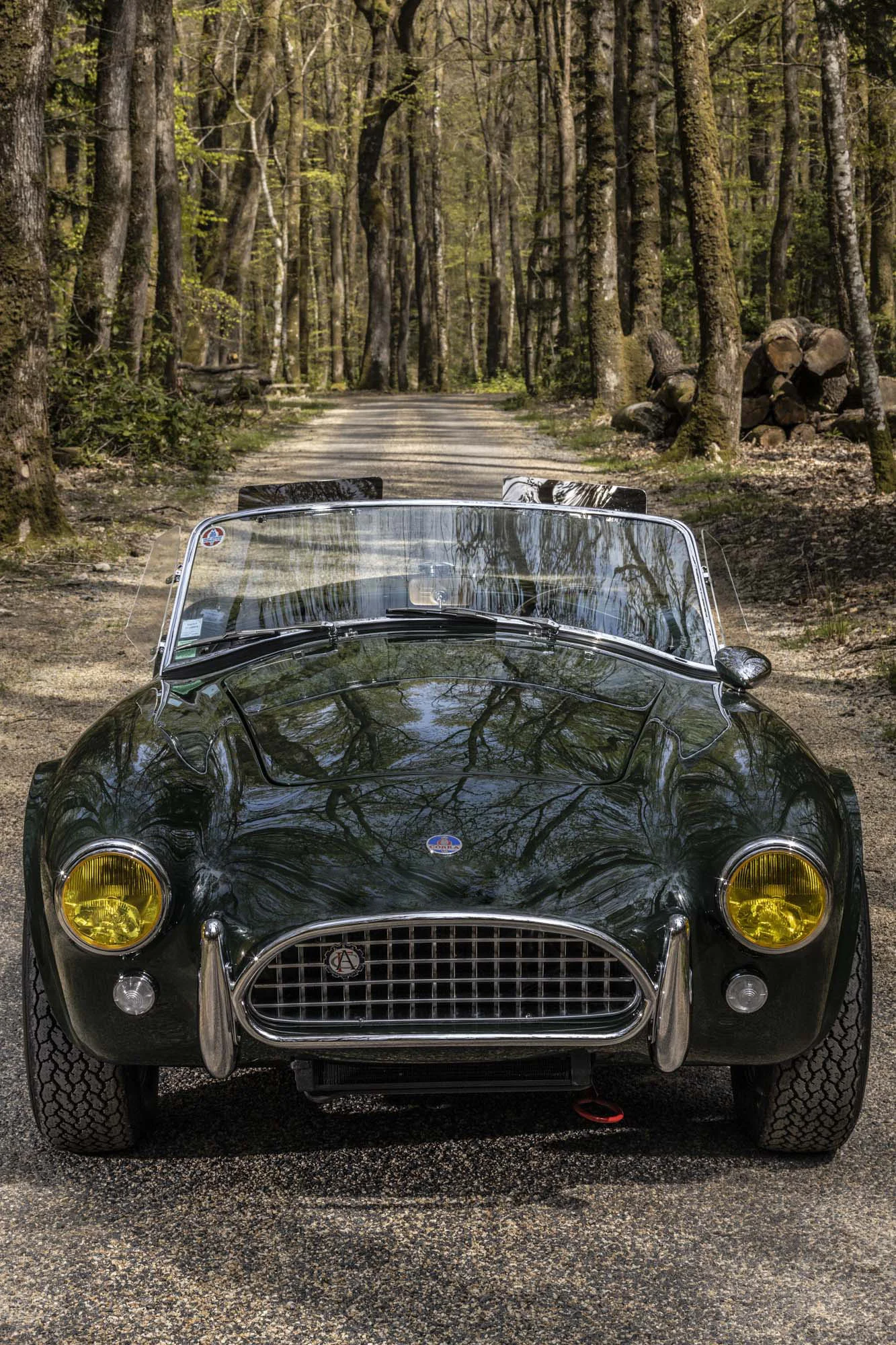 AC Cobra 1.JPG
