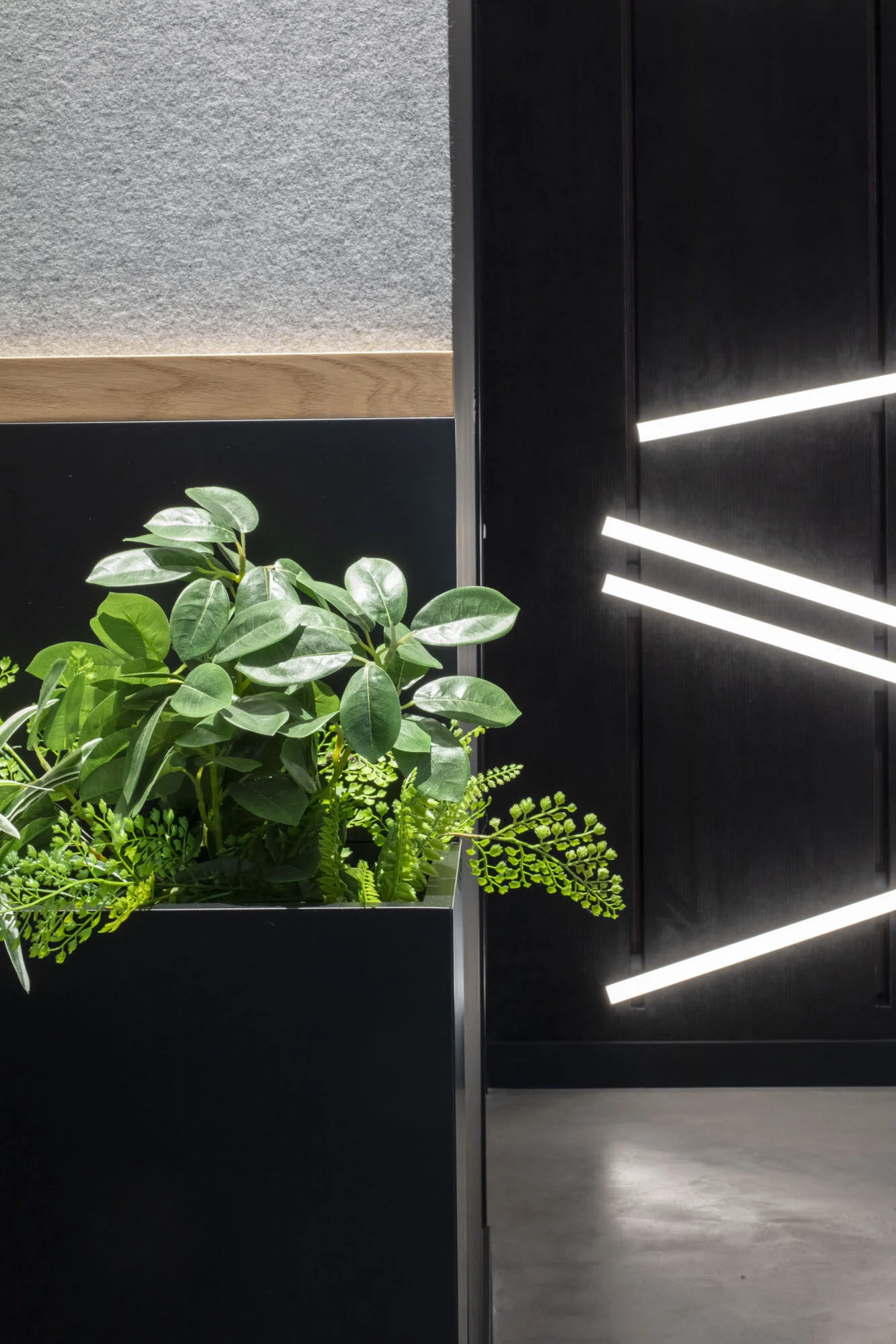 SHOWRROM XAL LYON(A, B, C...)_11.JPG