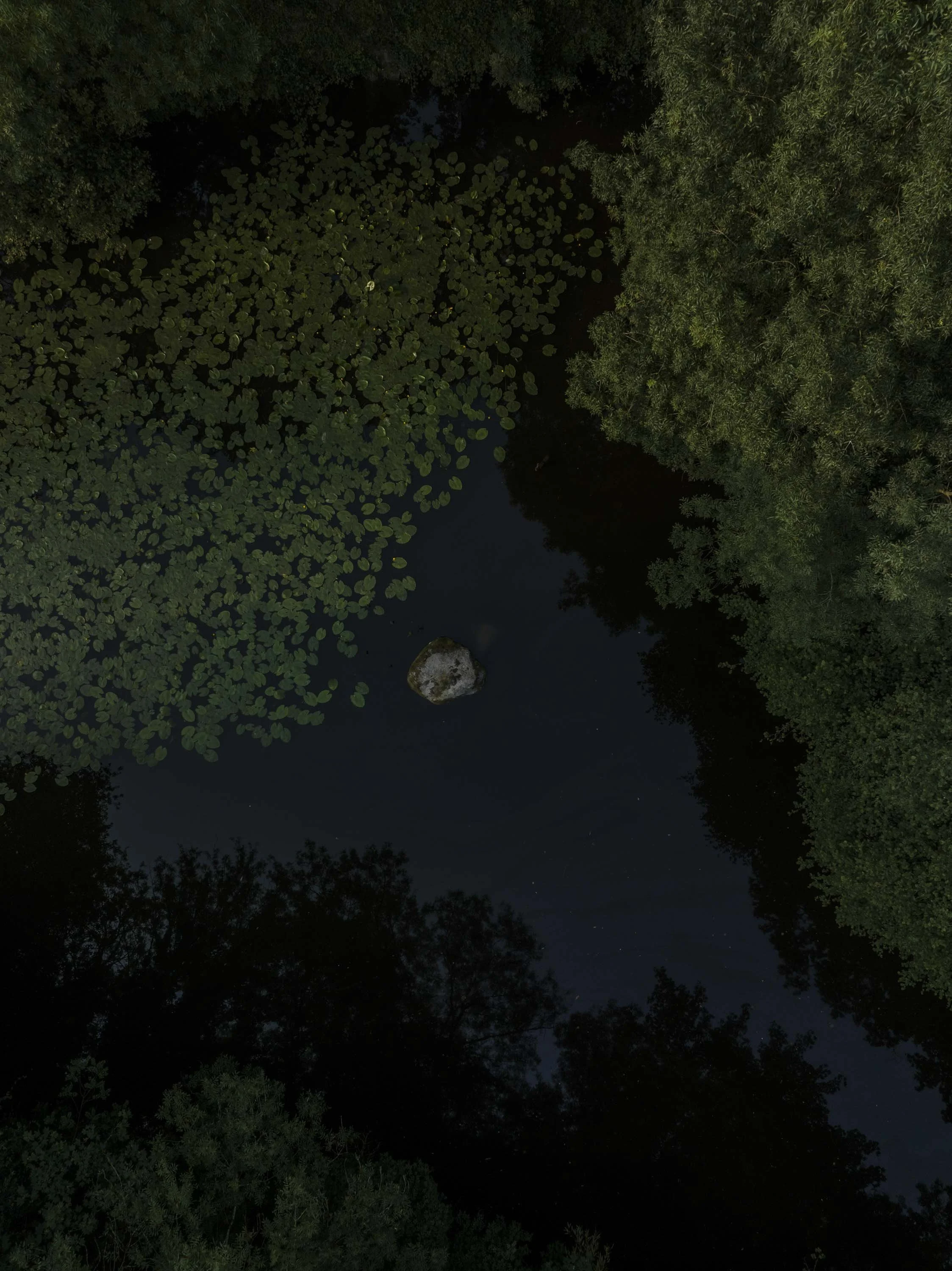 DJI_0810.JPG